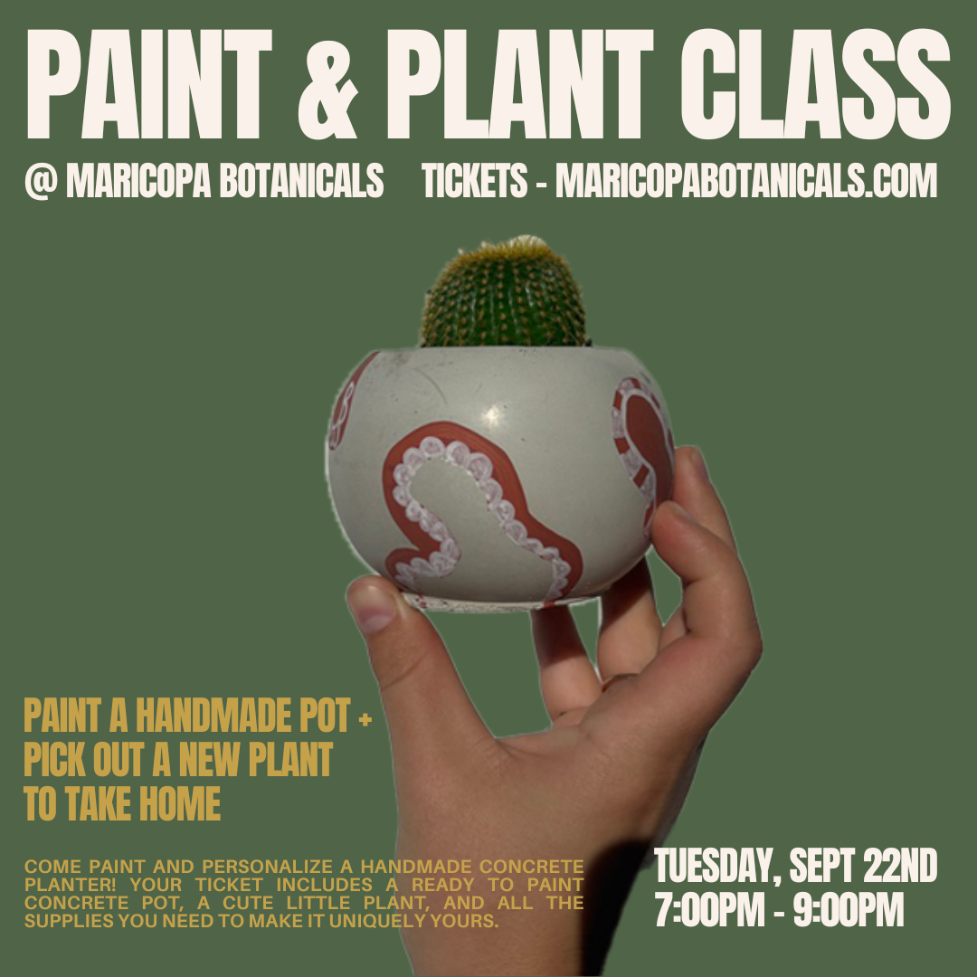 BONSAI CLASS-33.png