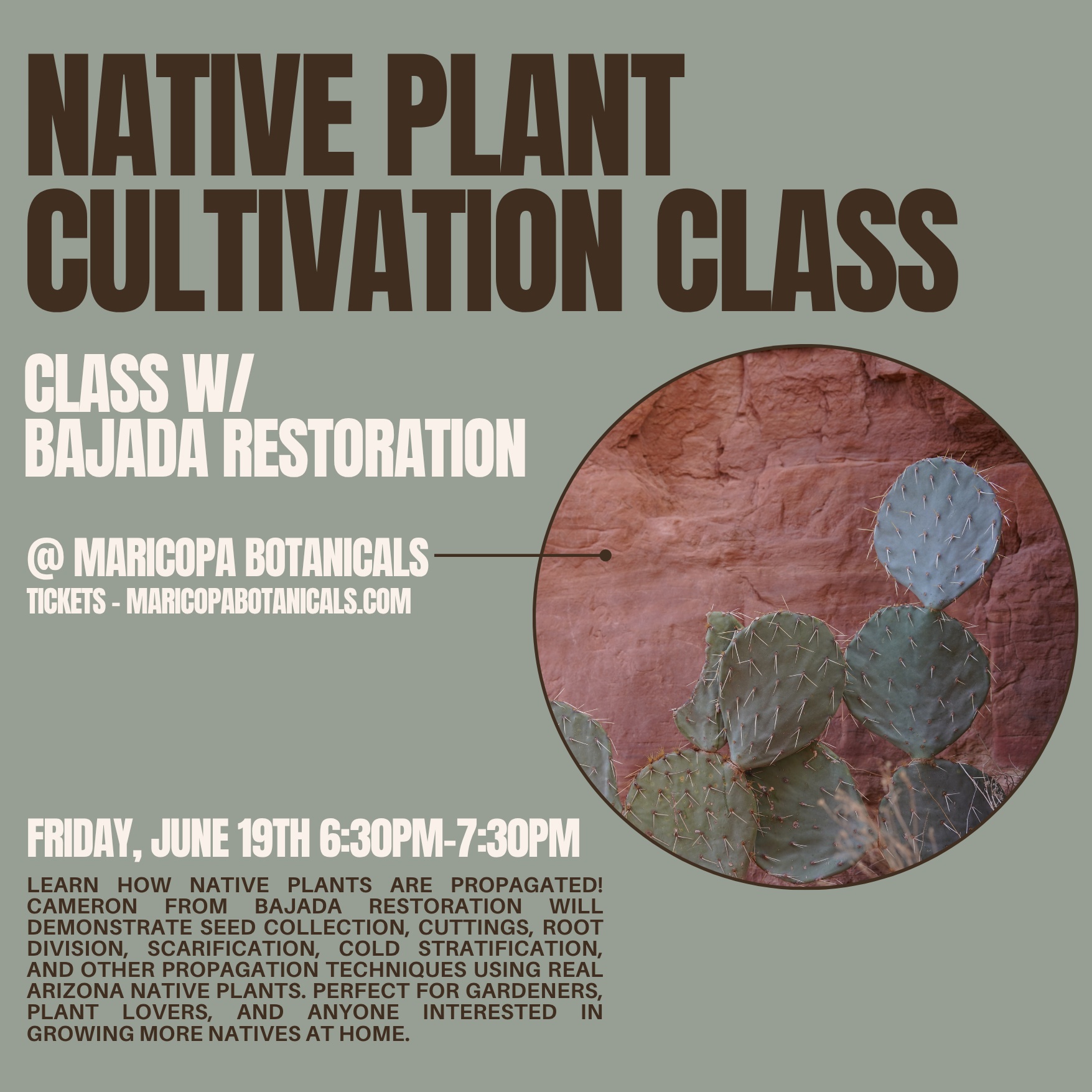 BONSAI CLASS-11.png