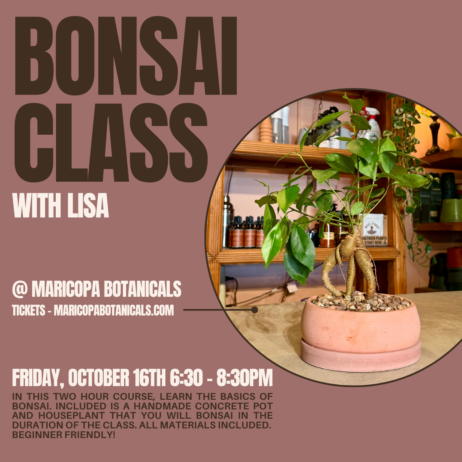 BONSAI CLASS-38.png