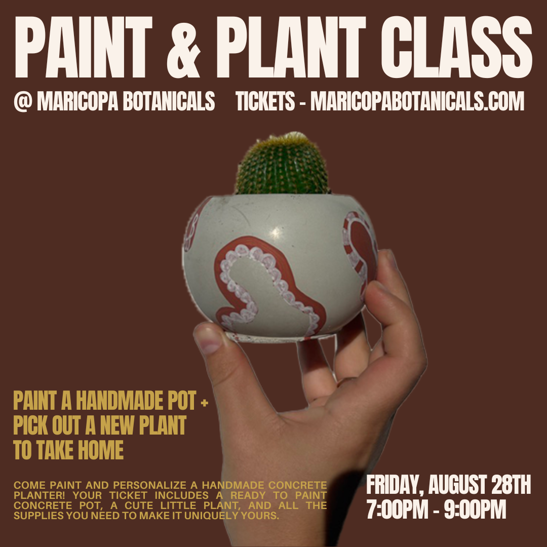 BONSAI CLASS-25.png
