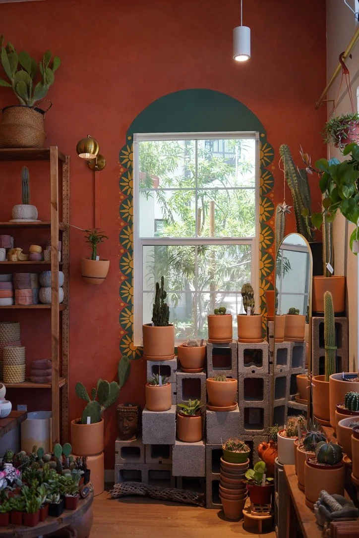 Interior of Maricopa Botanicals plant shop in Tempe, Arizona