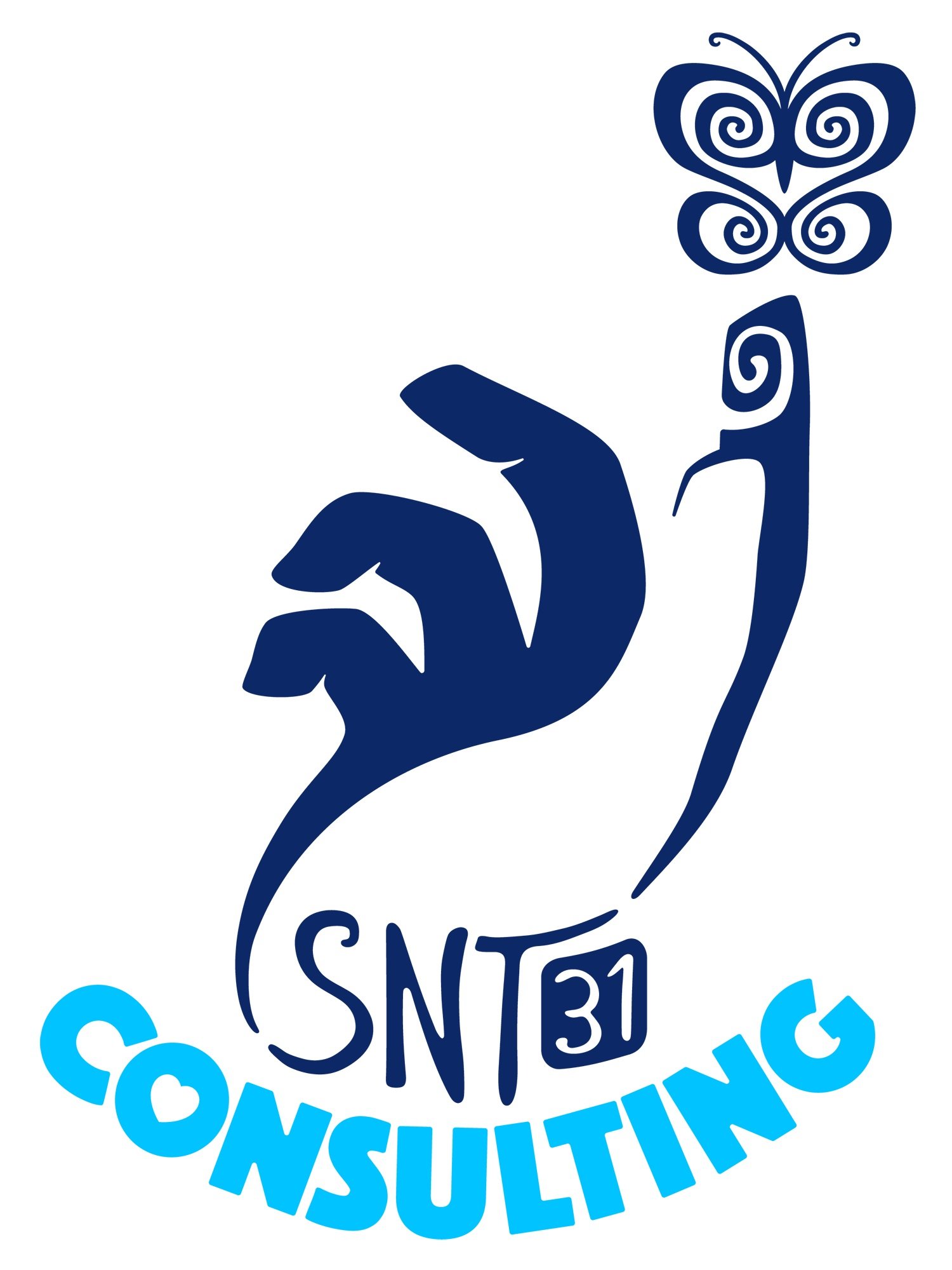 S N T 31  CONSULTING