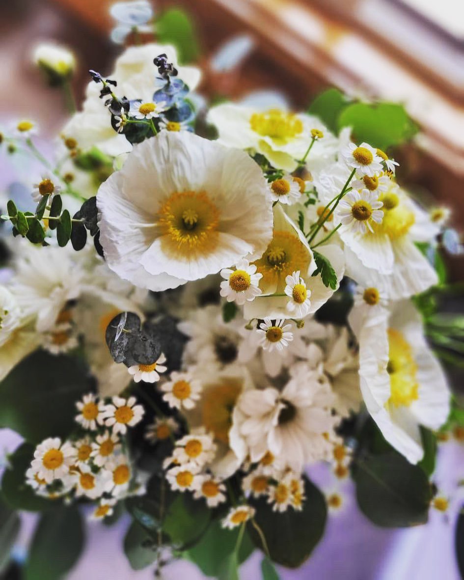 POV: Daisies are my favorite flower 💐😍 #weddingflowers #weddingfloristry #virginiawedding #charlottesvillewedding #weddingflorist