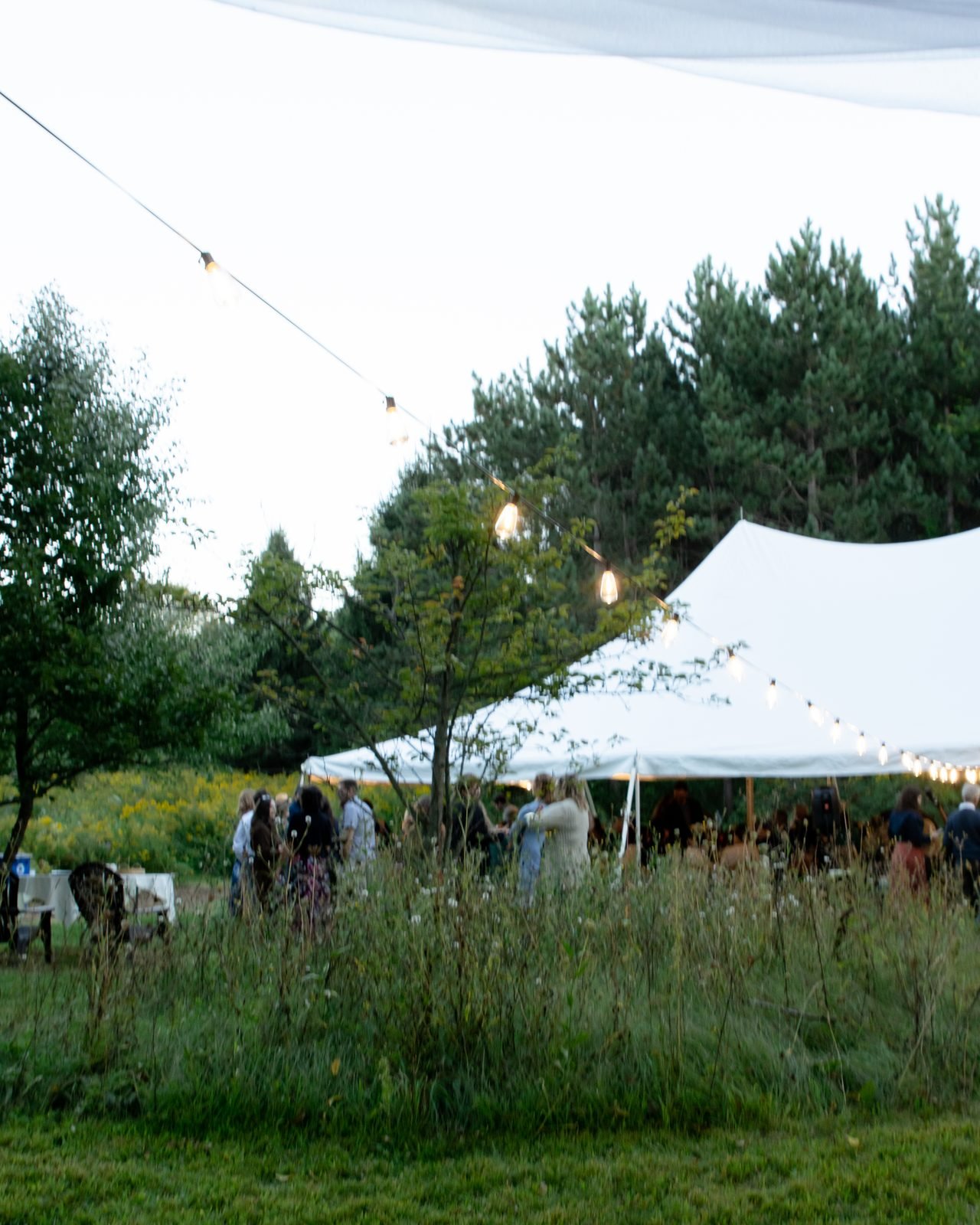 03-meadow-dusk.jpg