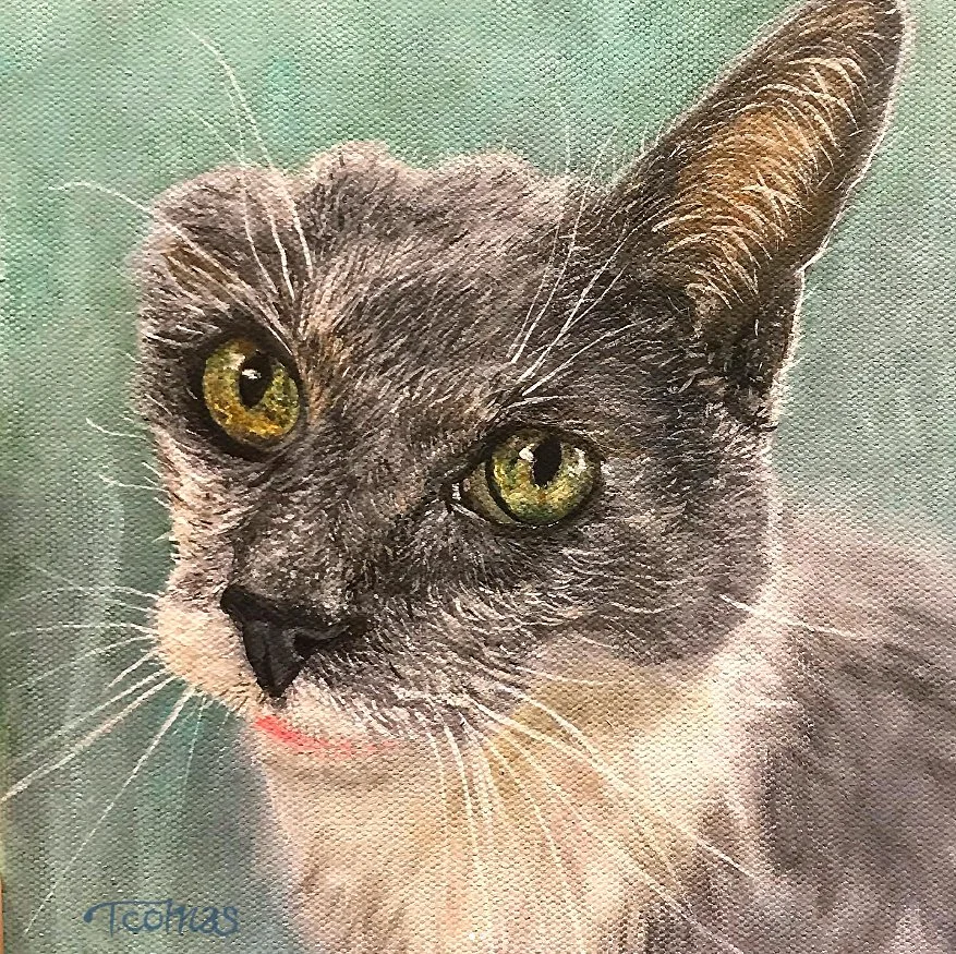 Neko, 10"x10" Acrylic on Canvas
