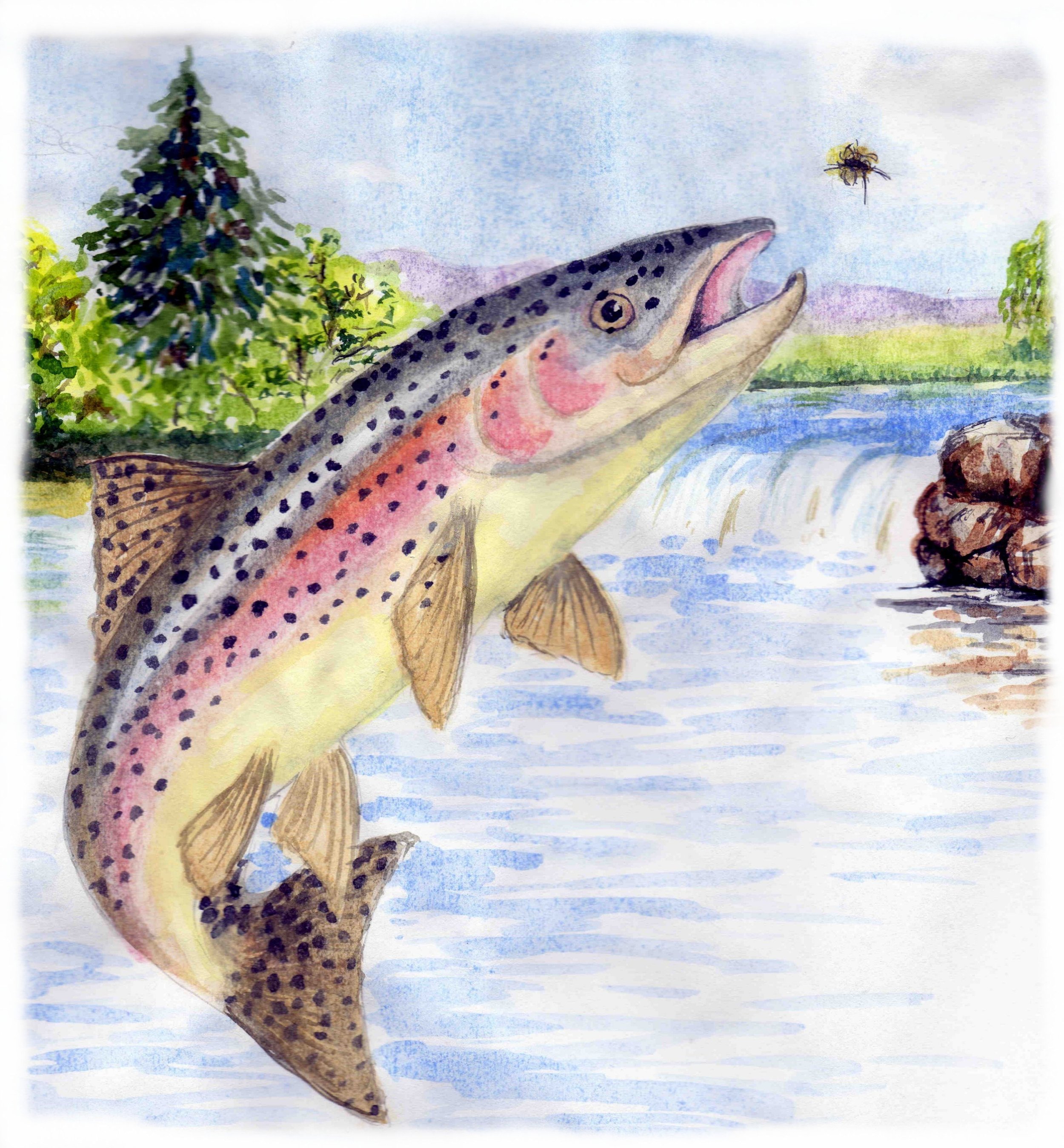 Kids Fishing Derby
