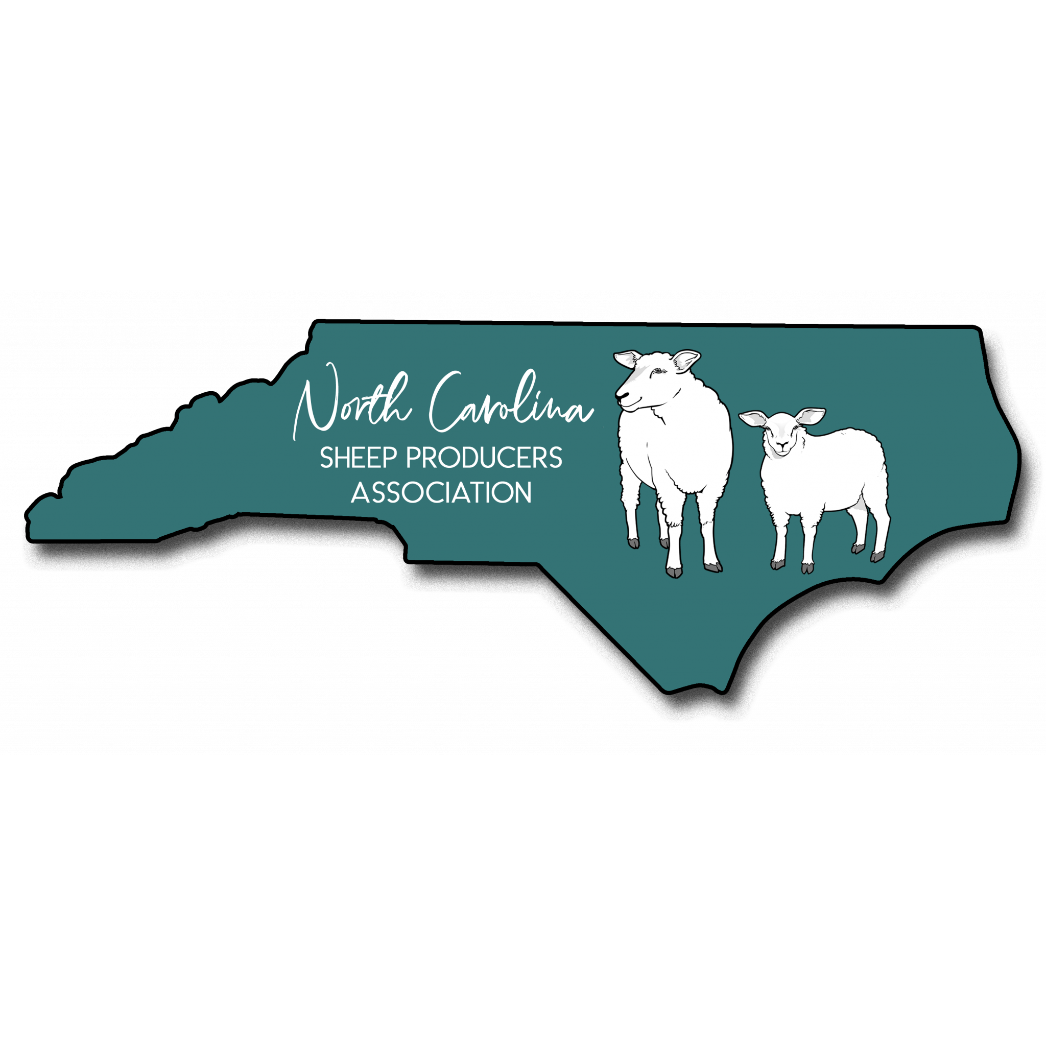 NCSPA-Logo-1_edited-12-14-20_transparent-background-2048x911.png