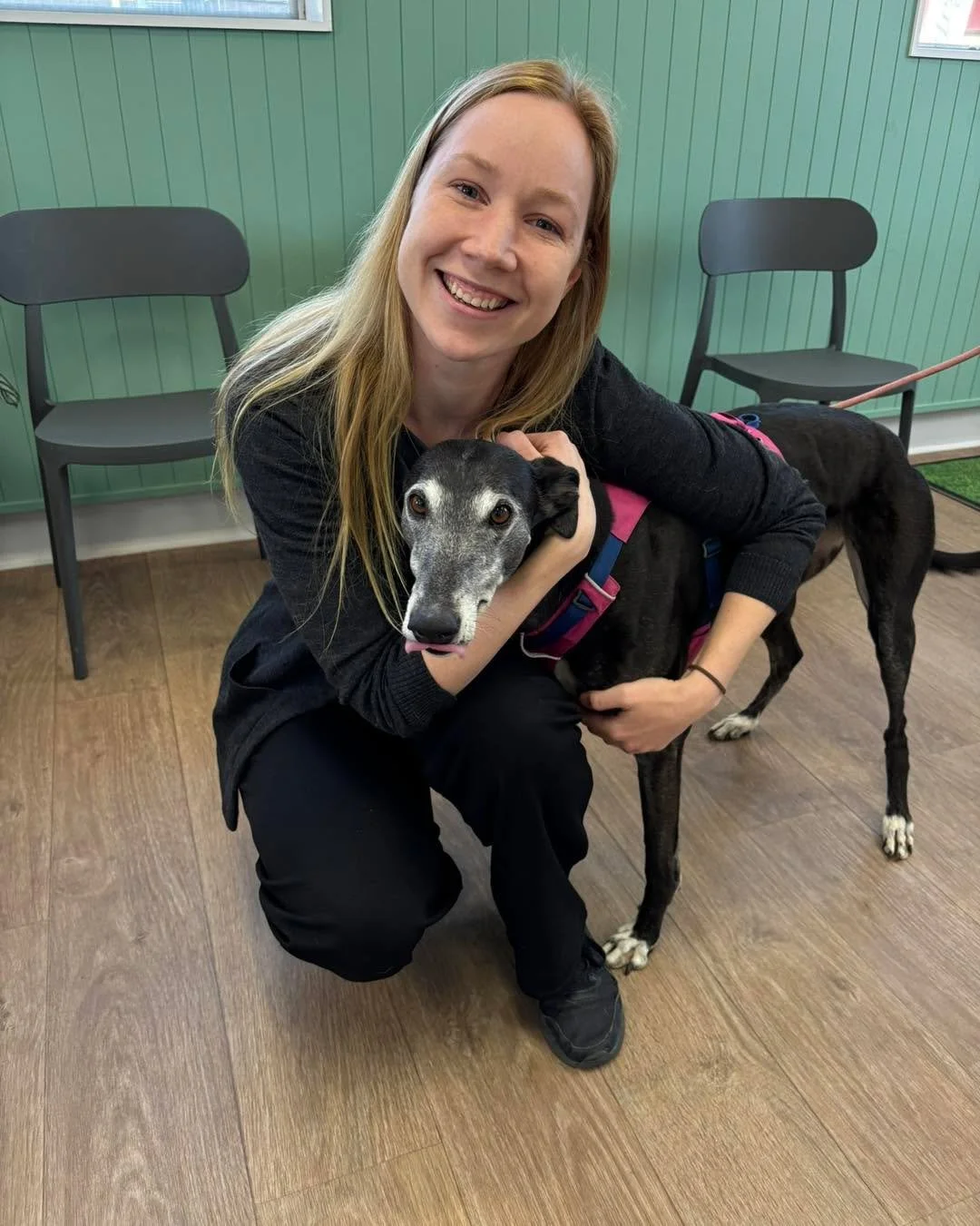 Proof of cuddles! Our lovely receptionist Aiesha following through with her Clinker Challenge by giving Tally a 🥰 cuddle! 

#animal #newnorfolktasmania #vetinthevalley #newnorfolktas #vetinthevalleyanimalhospital #hospital