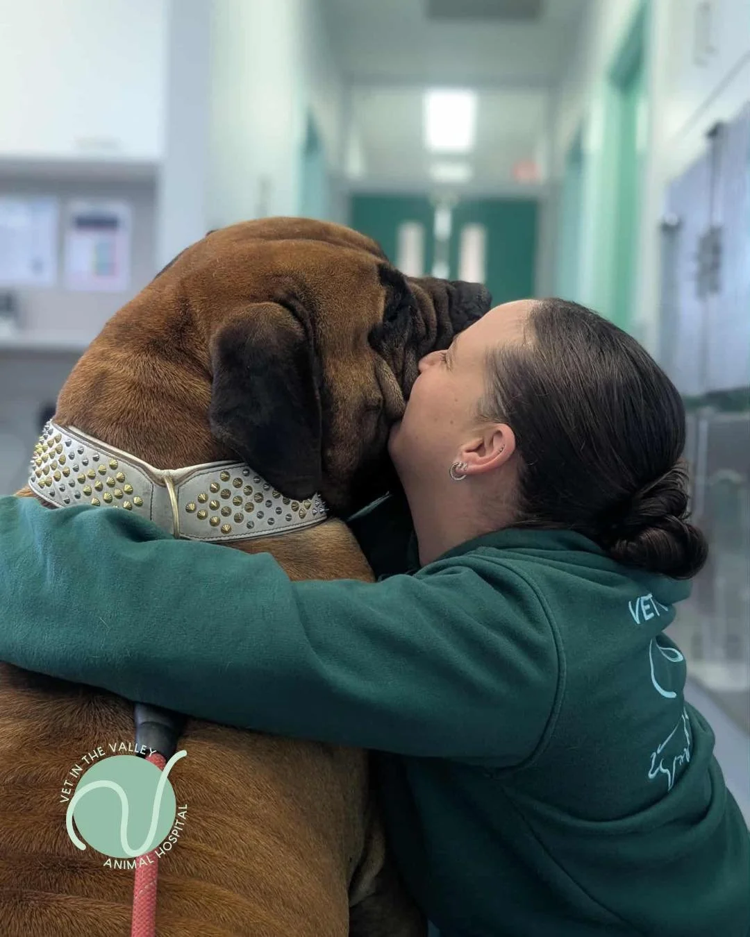 💊💊 Medication Requests 💊💊

We are loving all the new Vet in the Valley Family members that have joined us in the last couple of months! 

We would request that you allow a minimum of 24 hours for us to process and approve your pets medications! 
