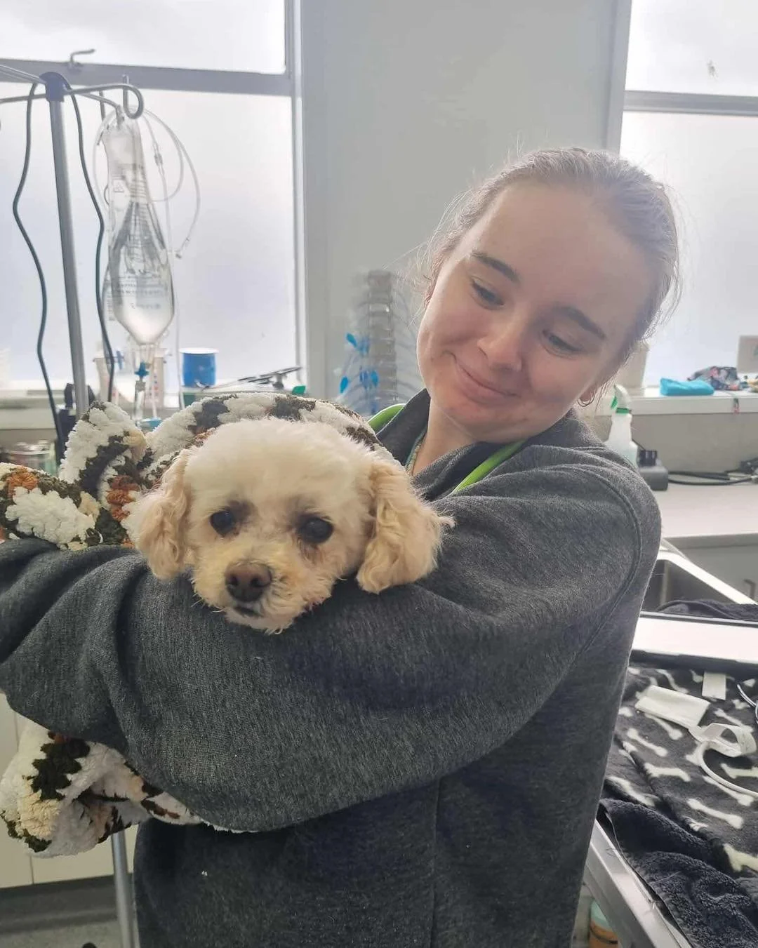 We are open this Saturday morning from 9 am until 1 pm for routine consultations, medication pick ups and over the counter food! 

#animal #newnorfolktasmania #Vetinthevalley #vetinthevalley #newnorfolktas #vetinthevalleyanimalhospital #hospital