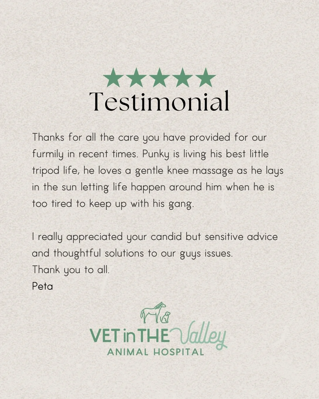 Thank you to Peta for the lovely feedback regarding Punky the goat and the rest of her fur and feather crew! 

Punky presented initially to Dr. Liam for assessment of a broken leg. After some deliberation it was decided that amputation would be the b