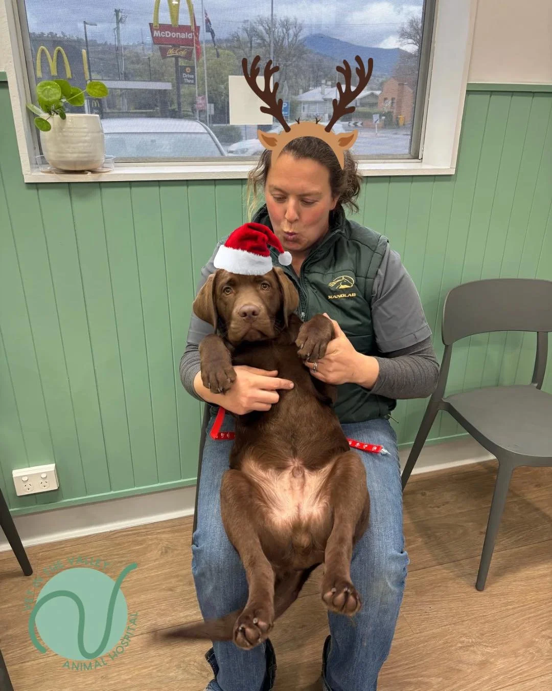 🎄Christmas Traditions 🎄

We are excited to celebrate our first Christmas at Vet in the Valley Animal Hospital! We get to develop our own and unique Christmas tradition for our staff, patients and clients! We&rsquo;d love your input! What are some o