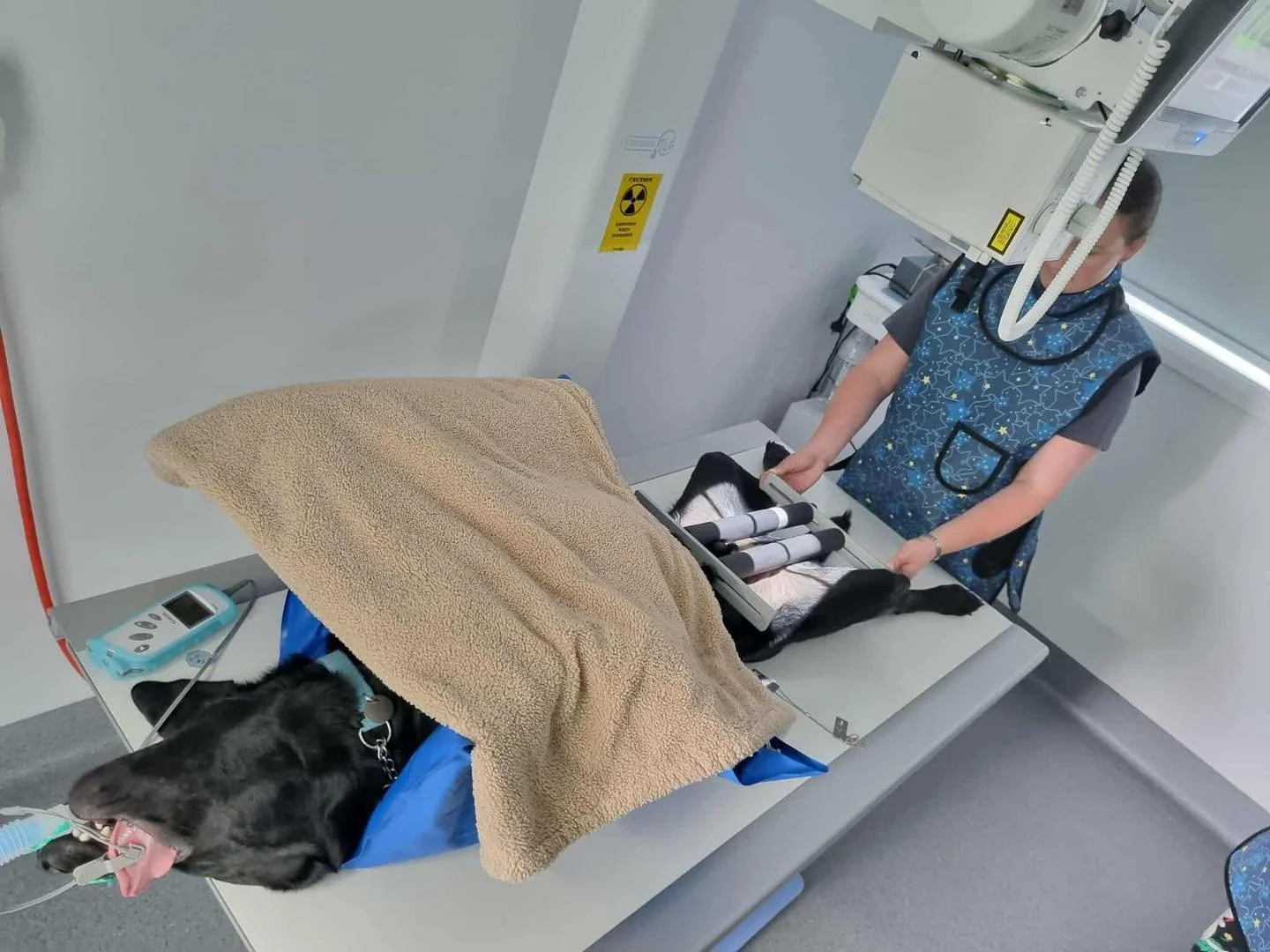 Did you know that Vet in the Valley Animal Hospital offers Penn Hip and Elbow Scoring? 

Penn Hip scoring is a superior way to measure hip laxity in dogs from the age 16 weeks which  will indicate the future risk factor of hip dysplasia and osteoarth