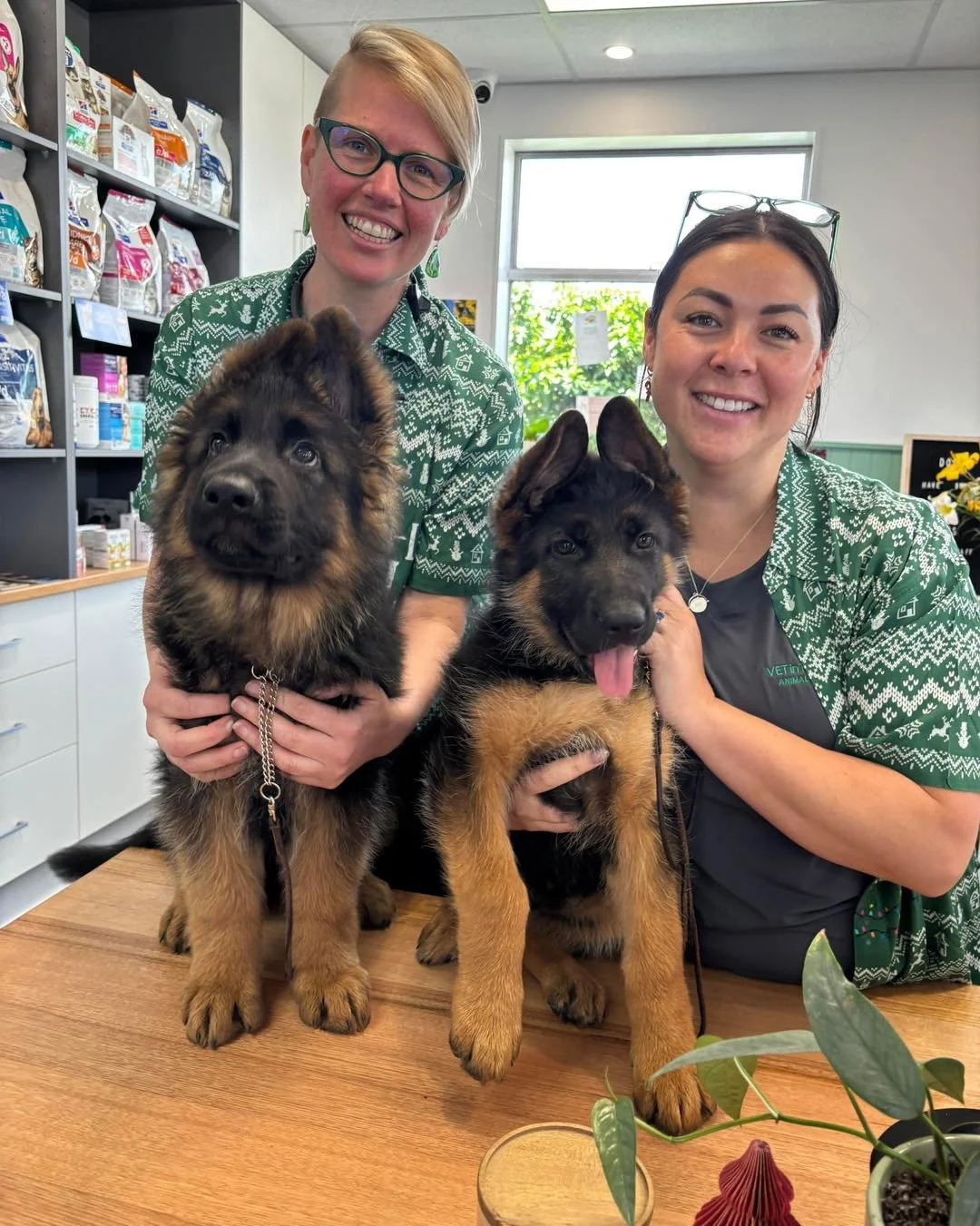 Ah it&rsquo;s that in-between time when no one knows if it&rsquo;s December or January, Sunday or Monday! Don&rsquo;t worry we have a full team available at Vet in the Valley Animal Hospital if required! 

Book online or 
📞61462255