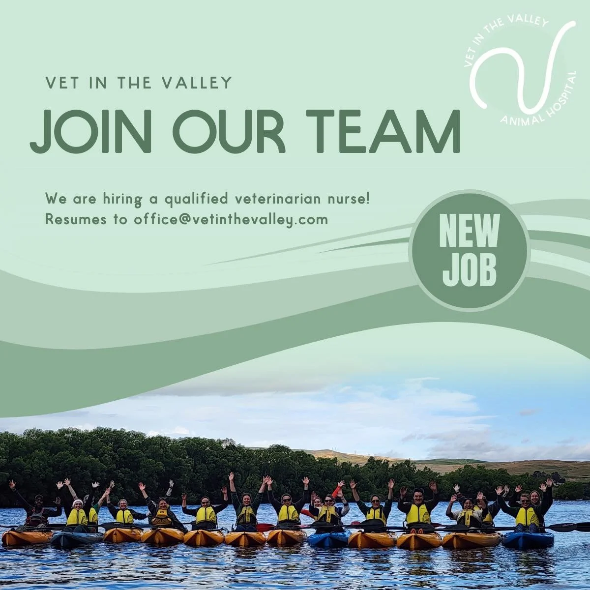 Join our team! 

We are looking for a qualified veterinarian nurse for a full time position at Vet in the Valley and Vet in the Valley Animal Hospital! 

Join us as progressive team in a rapidly expanding veterinary practice. We have a brand new smal