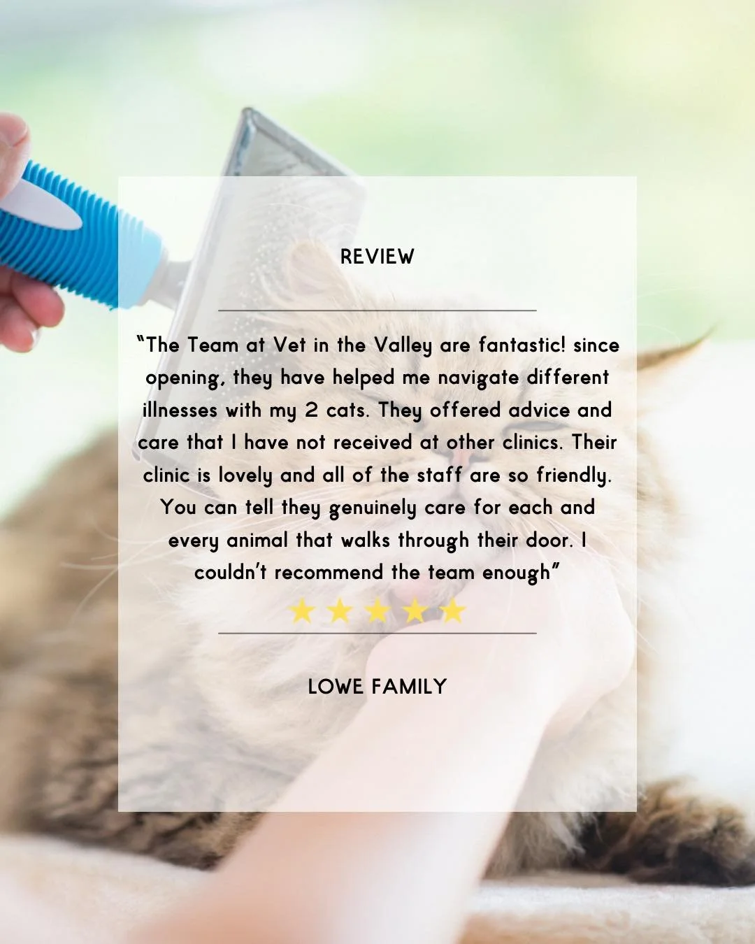 We love feedback Monday! Thank you Lowe family for providing us this review! 💚