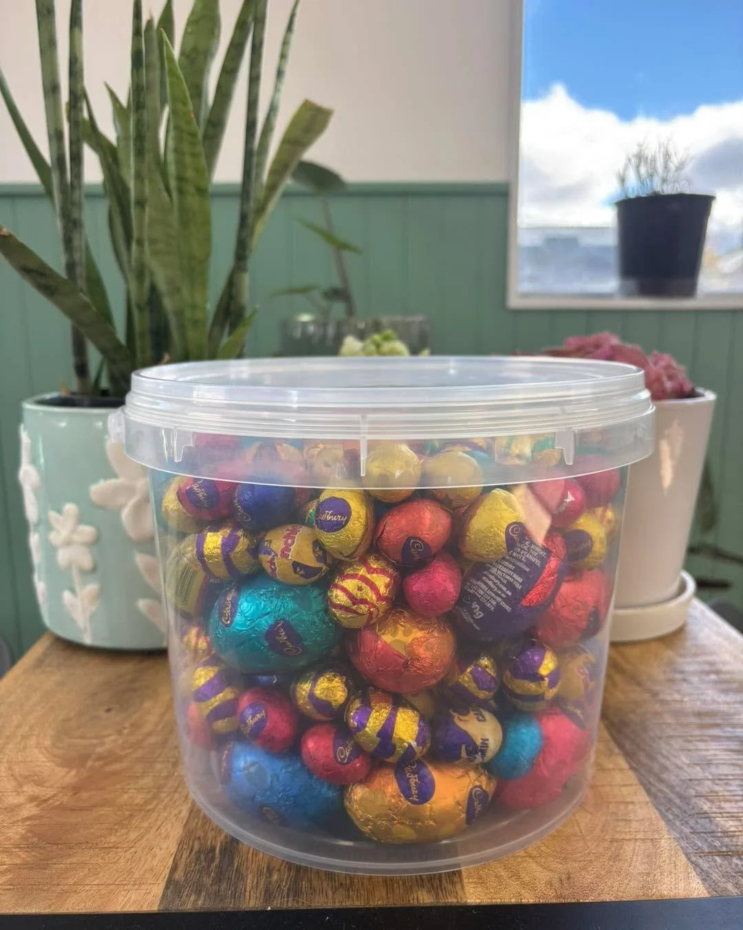 🐣 Easter Egg Guessing Competition 🐣

Can you guess the correct number of eggs in our container? 🫙 

🎉 WIN a container full of Easter Eggs! 🎉

How to enter: 
1️⃣ Follow our Facebook Page 
2️⃣ Comment your guess for how many eggs in the container!