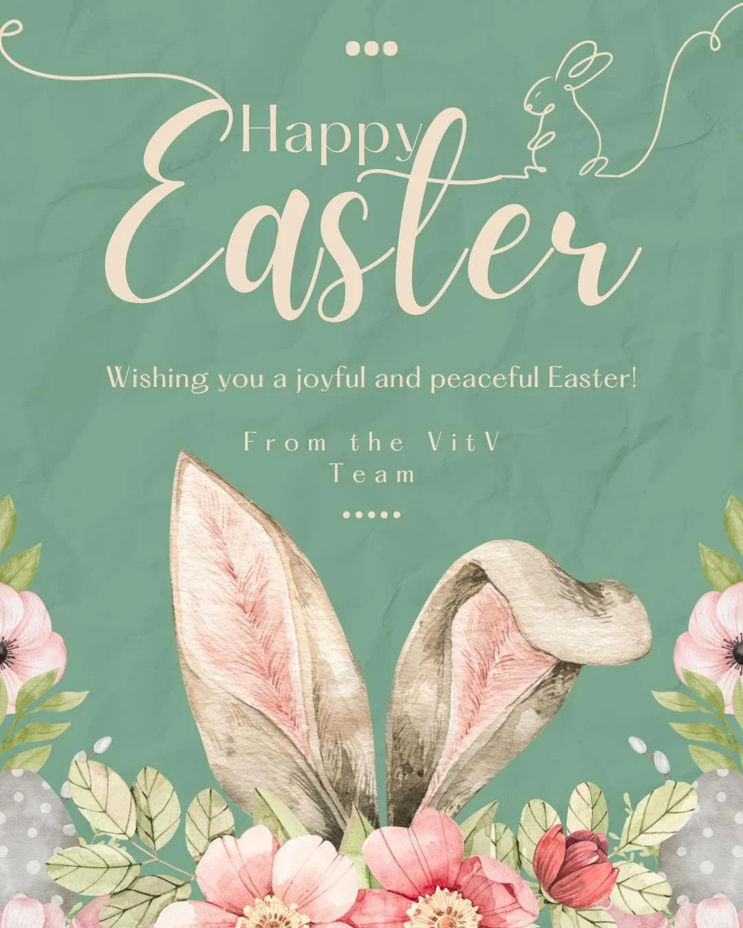 Wishing everyone a happy Easter! 🐣 

We hope Easter Bunny came and everyone is enjoying the long weekend! 

From VitV Team