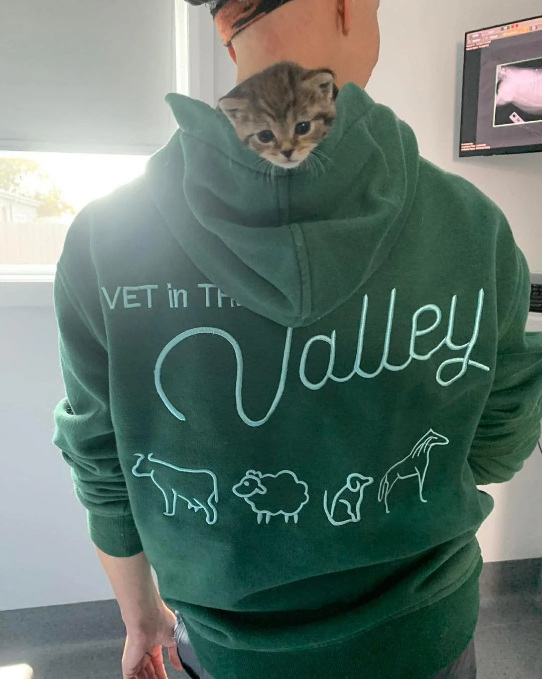 You get adopted by a vet nurse and spend your days getting mothered, nursed, feed, toileted, and photographed by the entire clinic team! 

#animal #newnorfolktasmania #vetinthevalley #newnorfolktas #vetinthevalleyanimalhospital #hospital #kittensofin