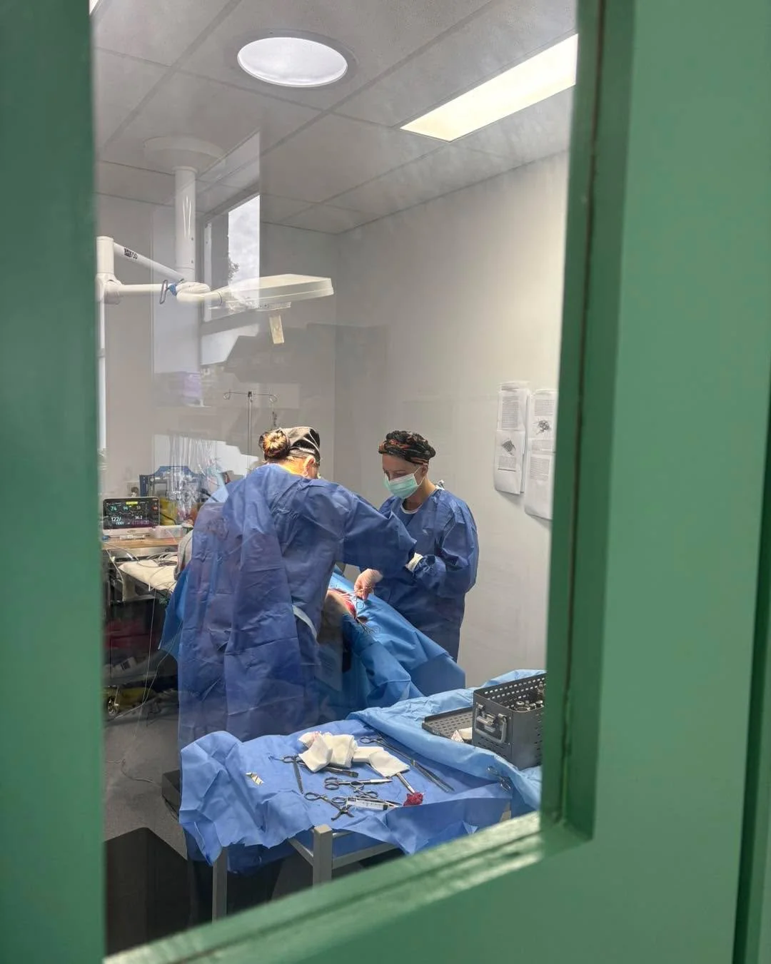 Mentorship, teamwork and collaboration is something that matters in our team! Here Dr. Jess is acting as surgical assistant to Dr. Abbie in an orthopaedic surgical case. 

 #orthopaedic #OrthopaedicSupport #newnorfolktasmania #Vetinthevalley #vetinth