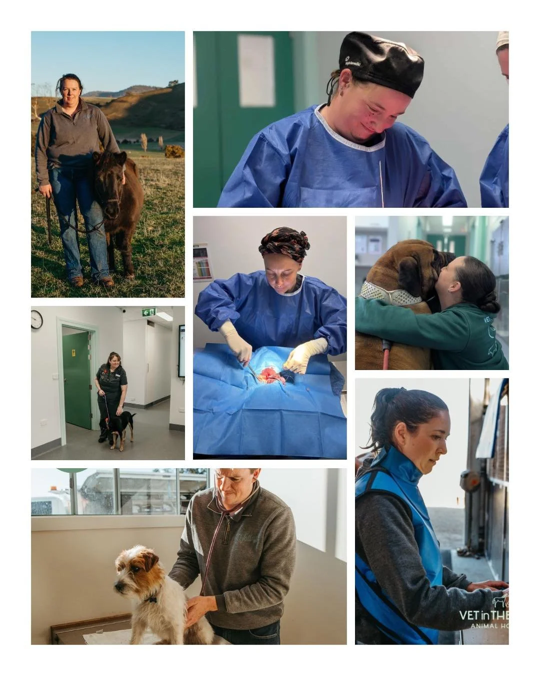 Let&rsquo;s celebrate World Veterinary Day, and send a cheer to the amazing vets that work within our team and with our team! We are truely grateful for their passion, dedication, commitment and expertise. 

We couldn&rsquo;t do it without them, and 