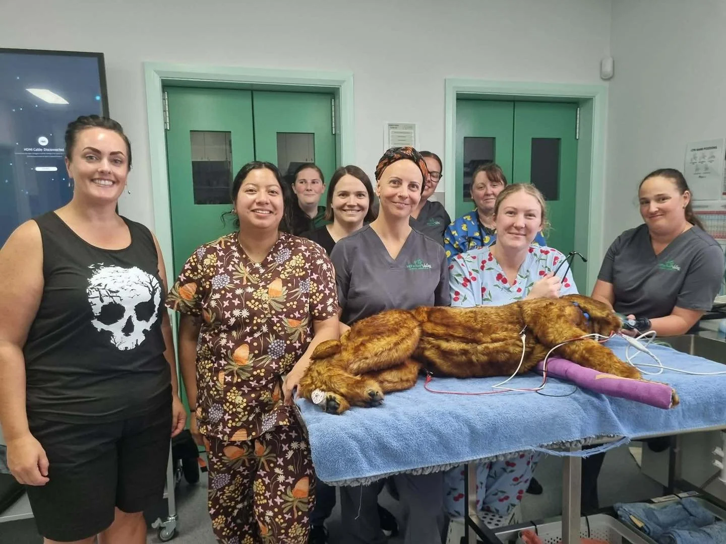 Last week our team ran through some intensive CPR training with Dr. Amelia from the Animal Emergency Service. The team went through the most up-to date recommendations, then techniques to perform CPR on pets. We really really hope we don&rsquo;t need