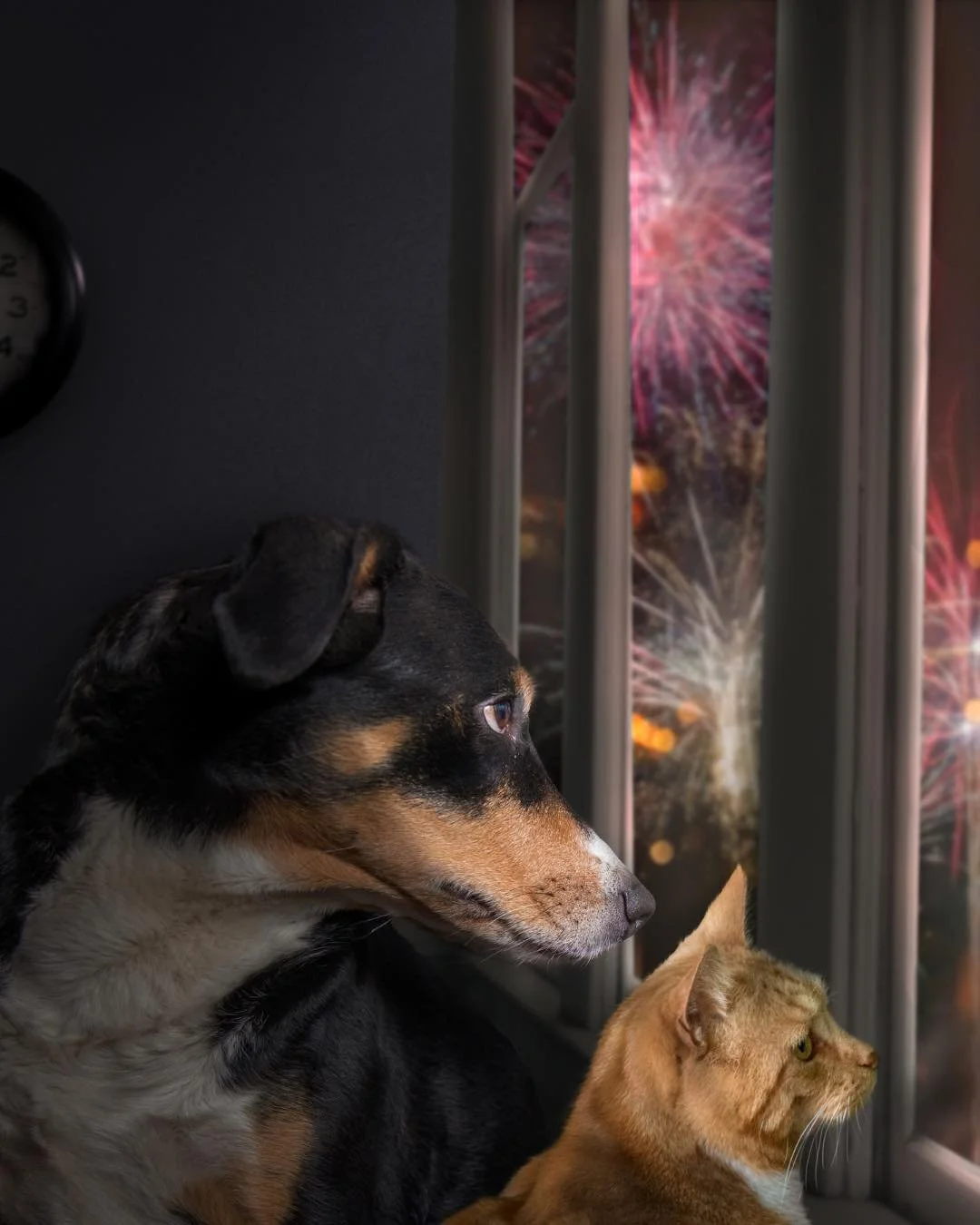 🧨 Firecracker Night 🧨

This night is fast approaching and we encourage our clients to be prepared! The loud noises can cause distress to some animals. Here are some tips and tricks for making the evening a little easier&hellip;

1. Stay Prepared: C