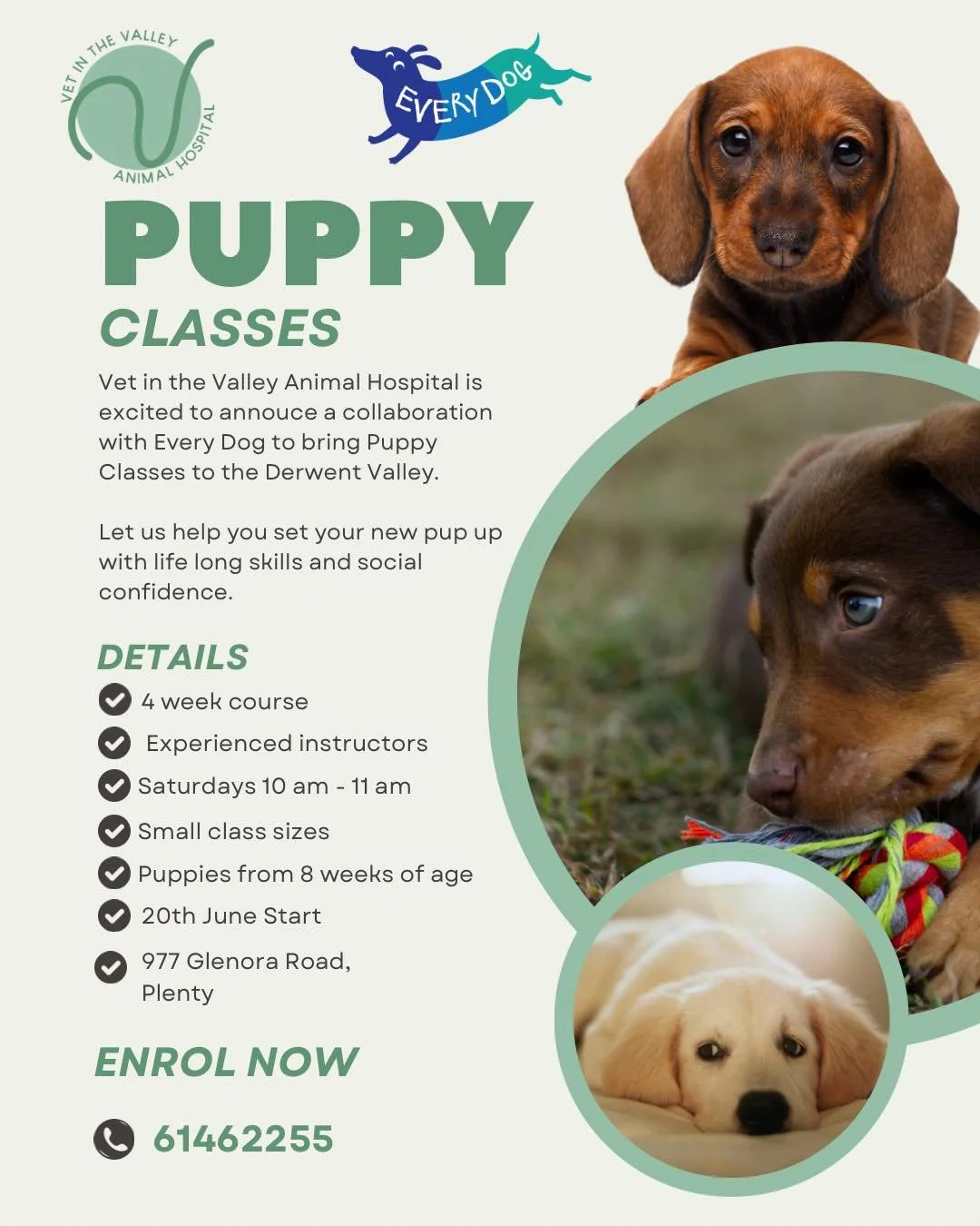 Vet in the Valley Animal Hospital is proud to collaborate with Every Dog - Dog Training and Behaviour Consulting to offer Puppy Classes in the Derwent Valley! 

To commence June 20th, open for puppies 8-14 weeks of age and all cuteness levels! 

Wher