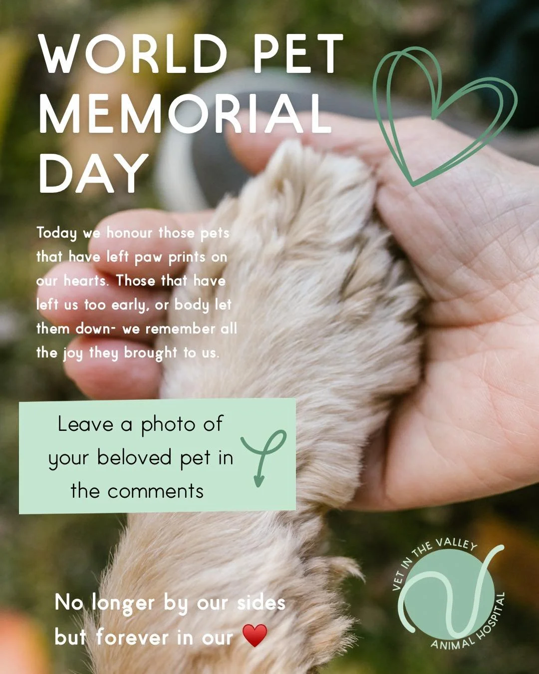 Today is world pet Memorial Day. We have had the privilege of helping so many families and their beloved pet through this difficult time. 

Today we take a moment to reflect on all the amazing stories and memories that get shared with us. 

#newnorfo