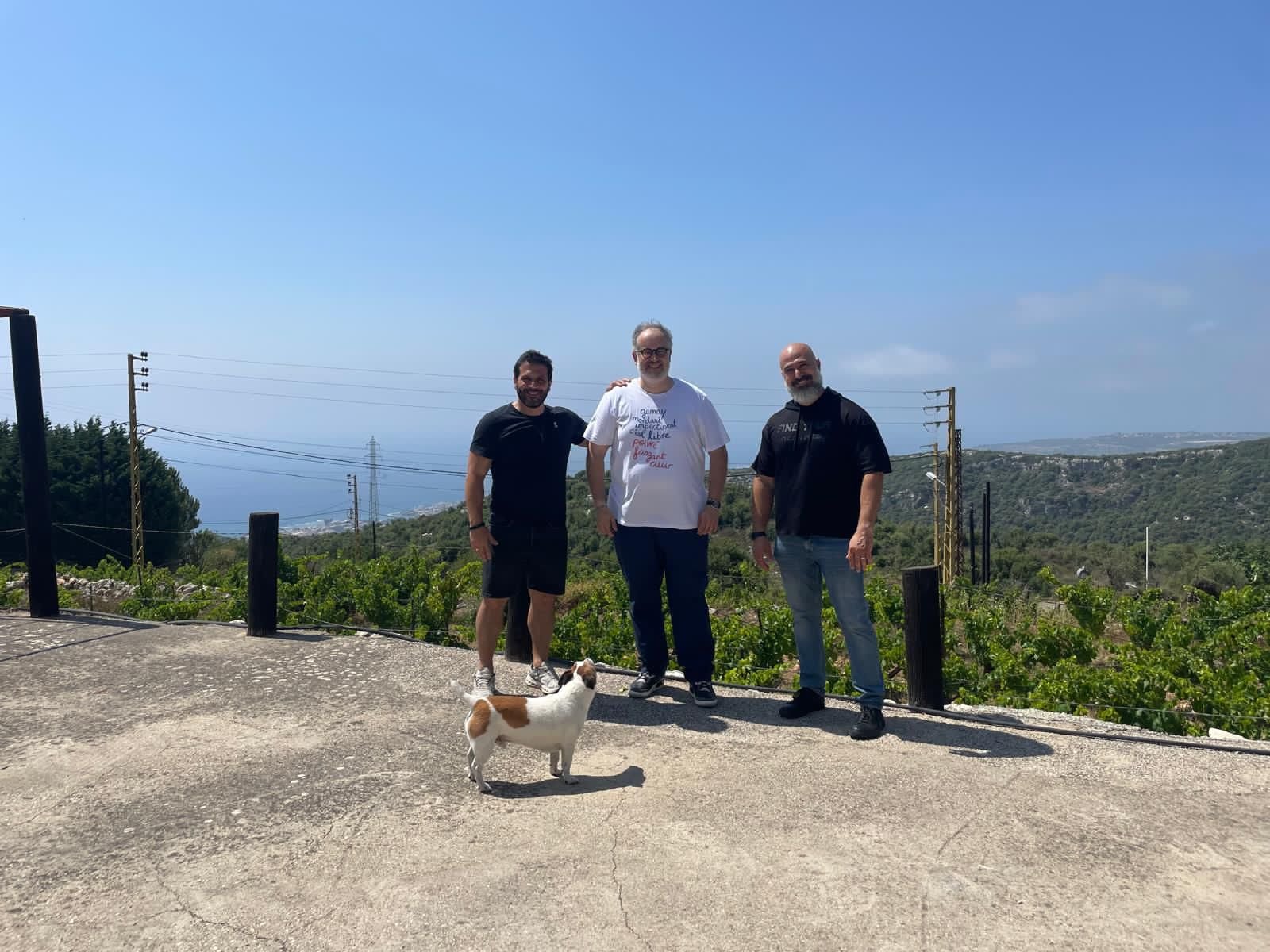 Mawj Winery • Edde, Lebanon