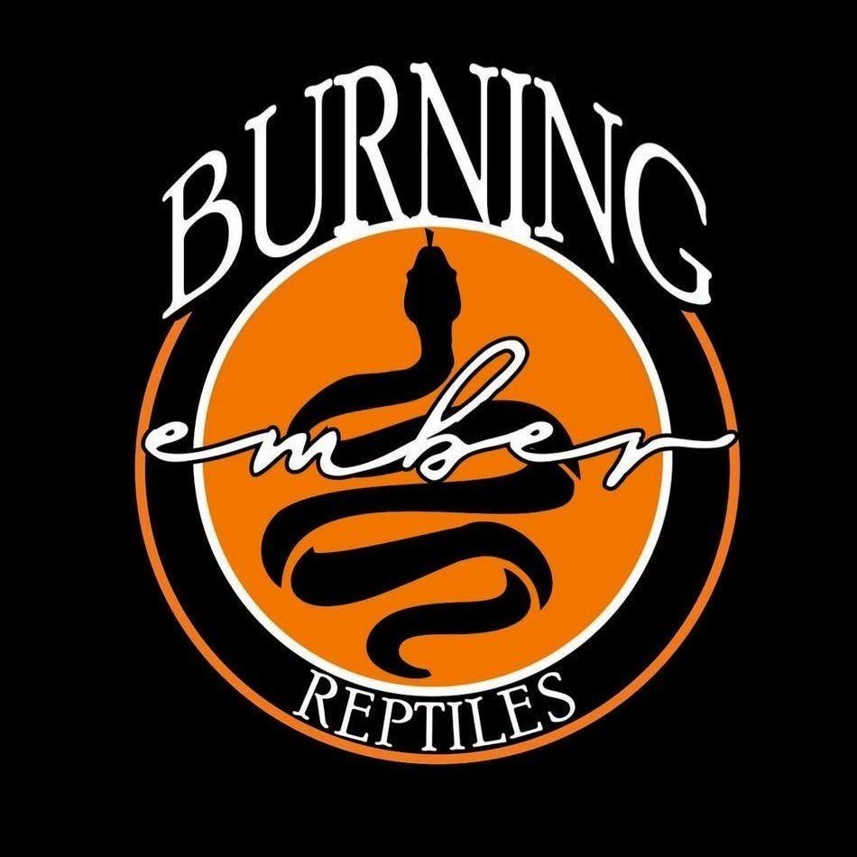 Burning Ember Reptiles