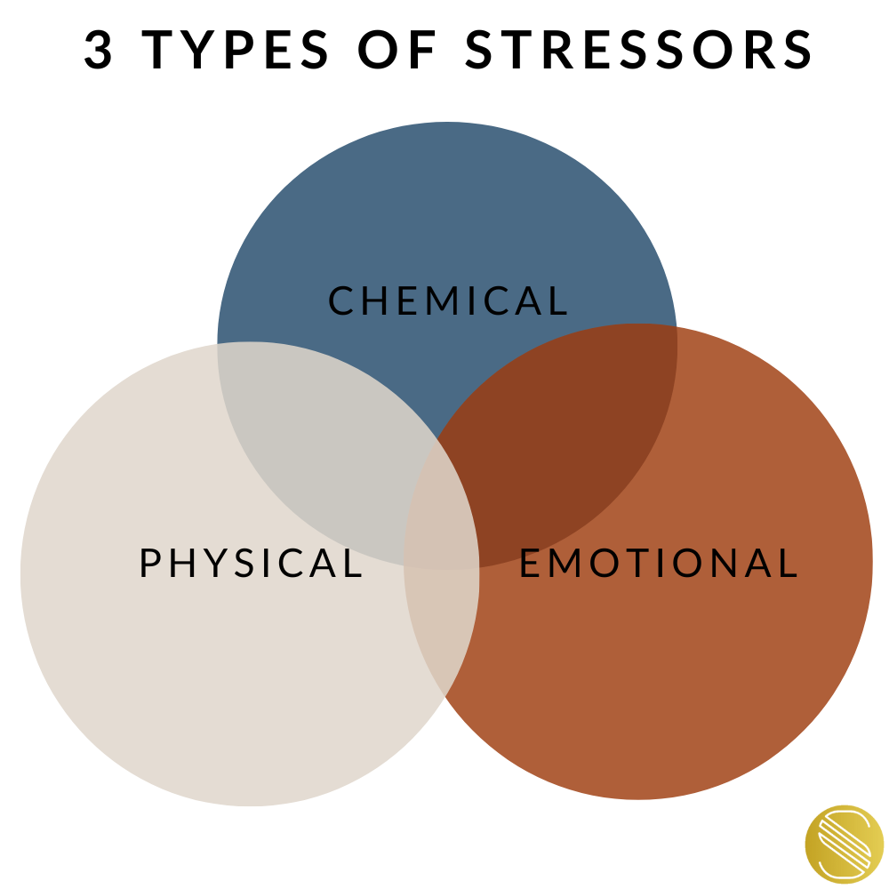 Holistic nervous system healing environment