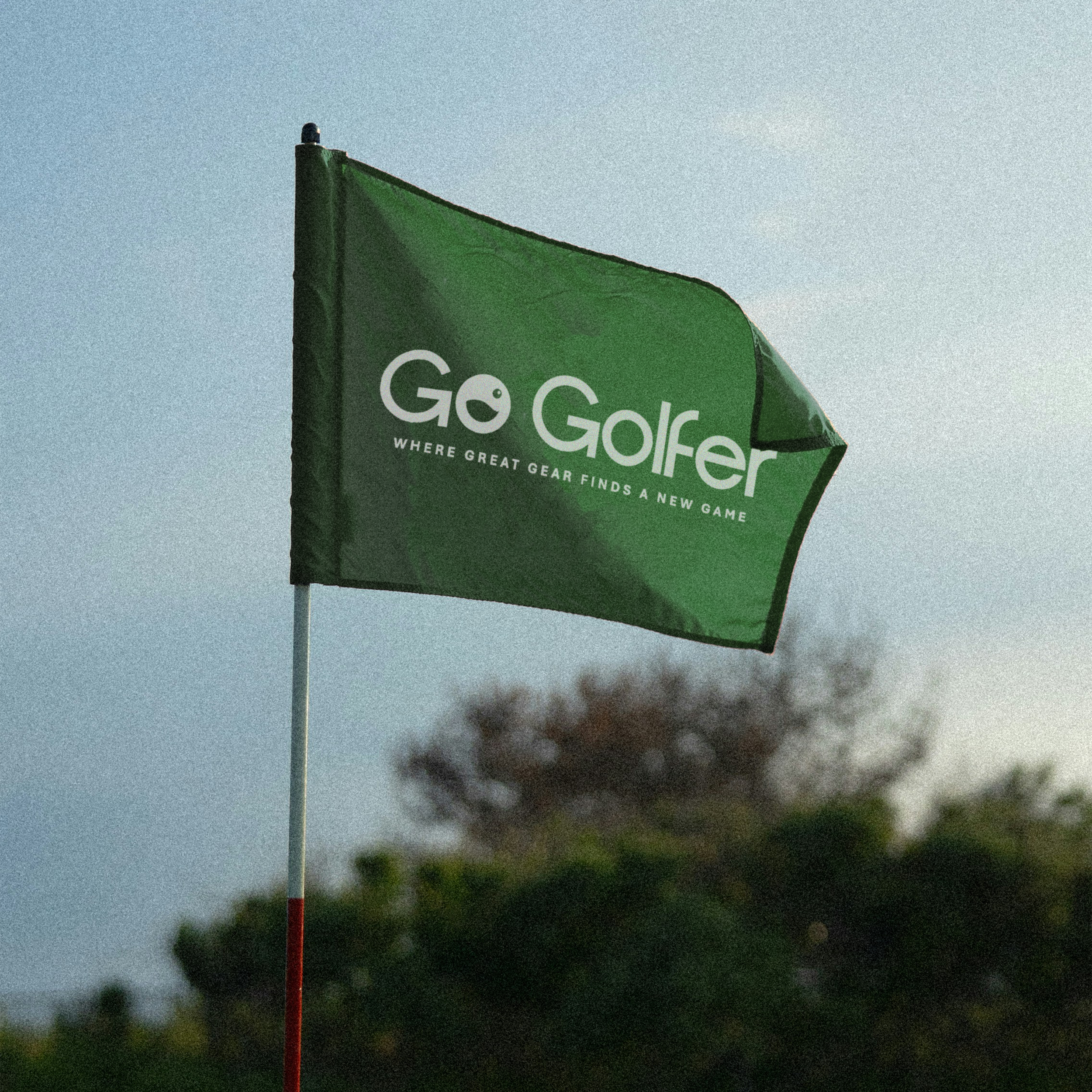 Gogolfer  flag.png