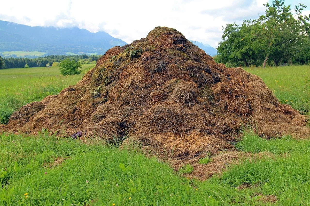dung-406217_1280.jpg
