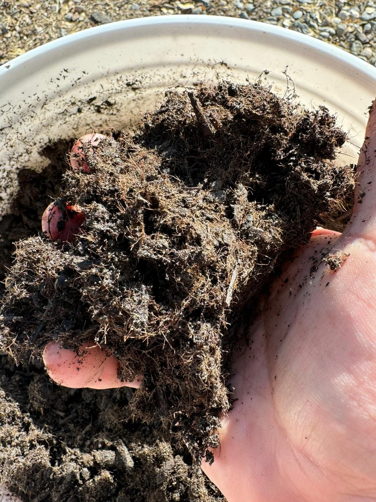 WhatsApp Image 2024-06-22 at 08.01.46.jpeg