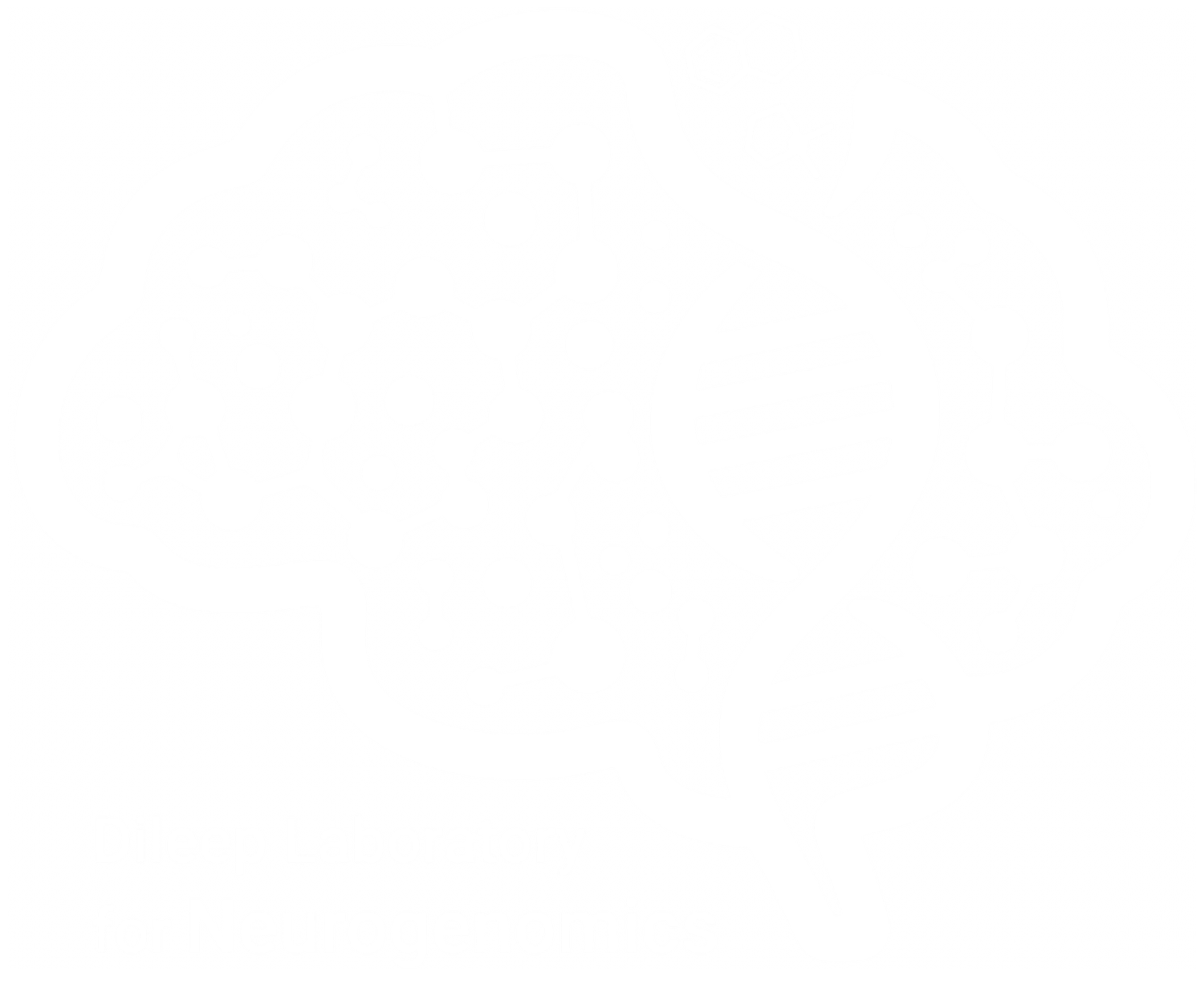 Dileep Laboratory, Genomics and Epigenomics of the Brain, Neurogenomics lab