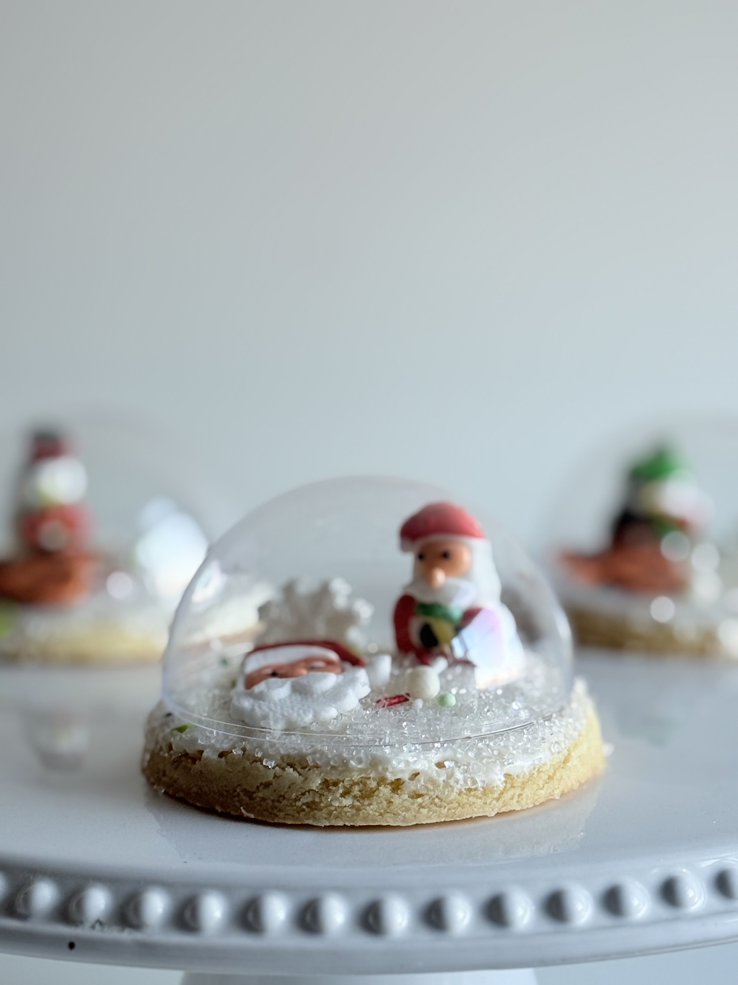 Snow globe sugar cookies (12)