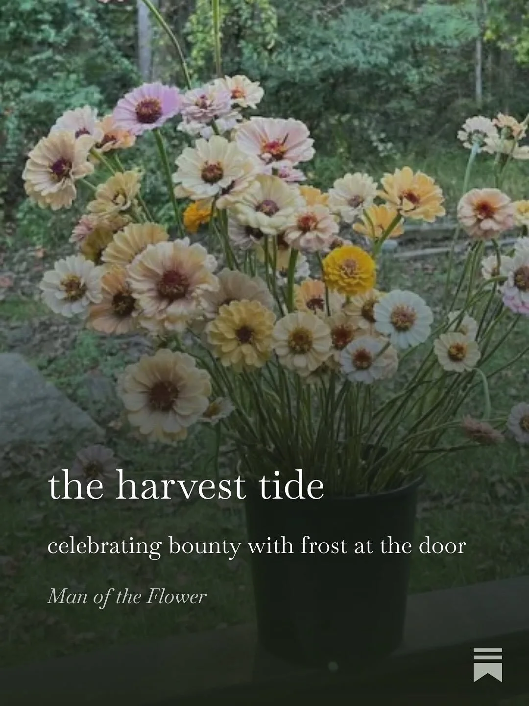 &ldquo;My fingers worked as fast as they could. After weeks of unseasonably hot weather, a cool air mass from Canada triggered our first frost advisory of the season, pushing the harvest into warp speed.&rdquo; latest Substack at link in bio!