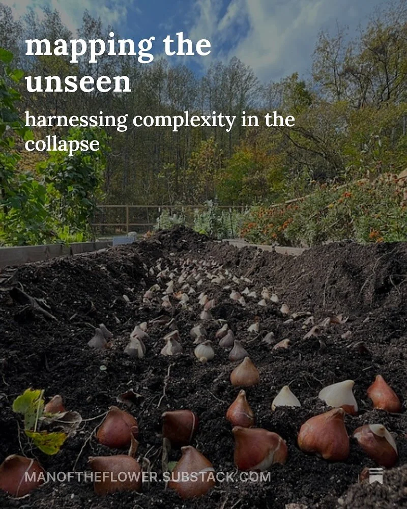 &ldquo;With the killing frost nowhere to be found, I become the reaper I await.&rdquo; Latest Substack at link in bio!