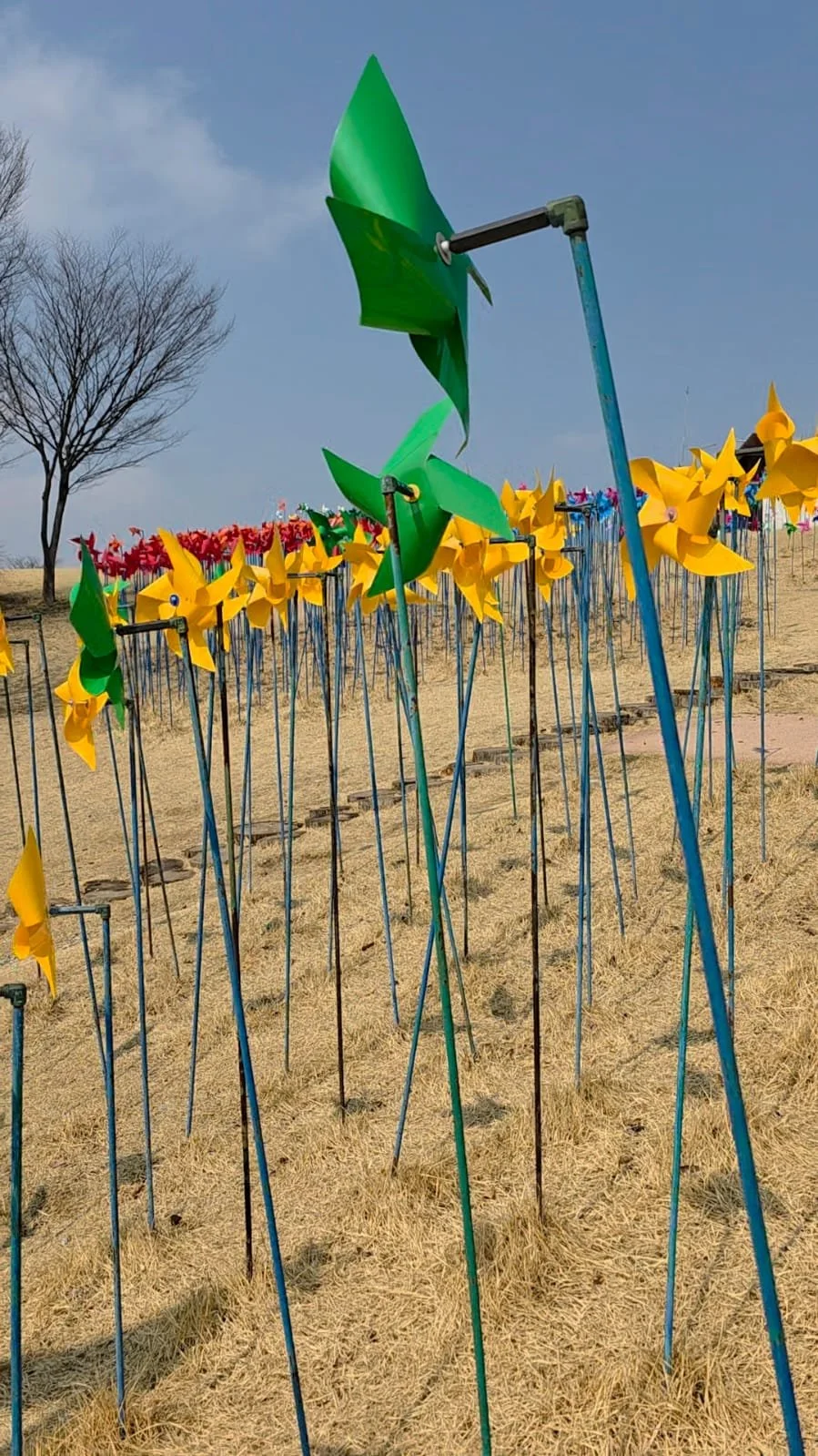 WhatsApp Image 2025-03-20 at 1.29.46 AM.jpeg