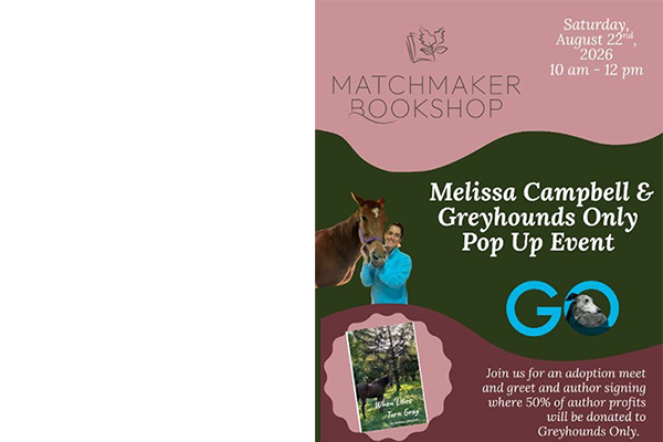 Matchmaker Bookshop Meet n Greet