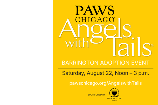 Angels with Tails - Barrington