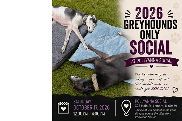 Greyhounds Only Social