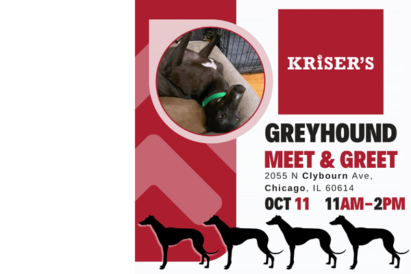 Kriser's on Clybourn Meet n Greet