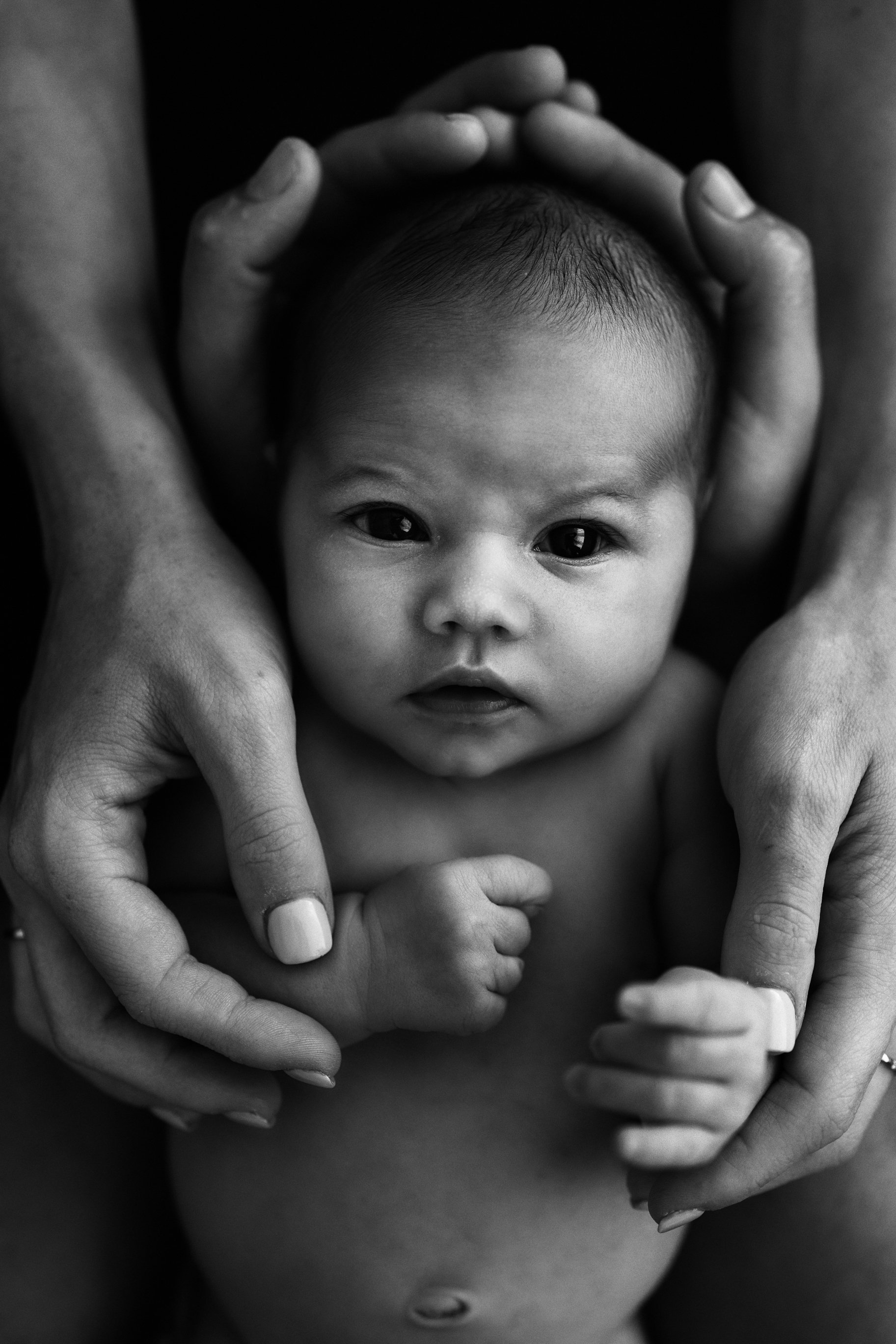 Sunshine Coast newborn photographer captures brand new baby in the studio.