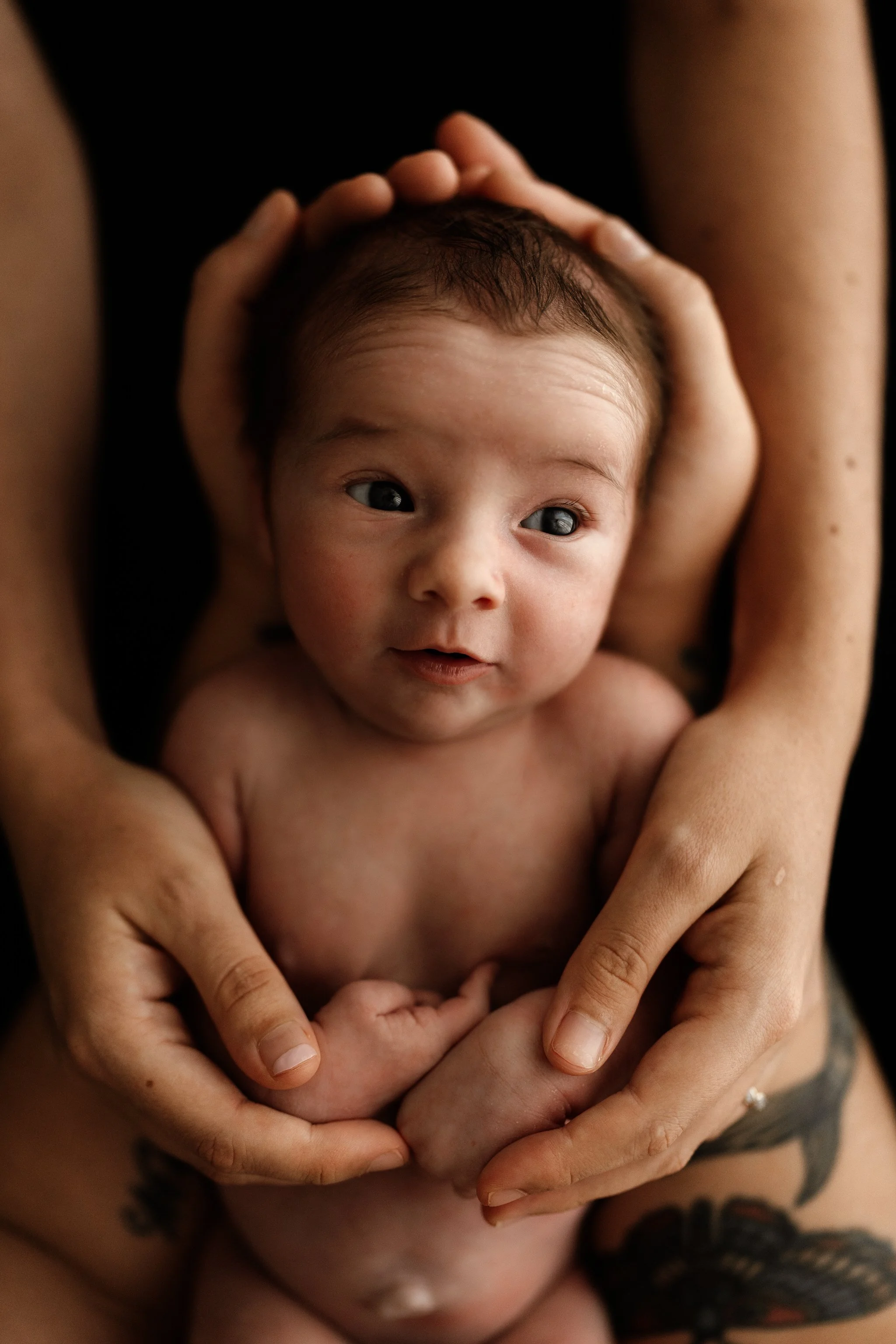 Linzie Russo newborn Sunshine Coast