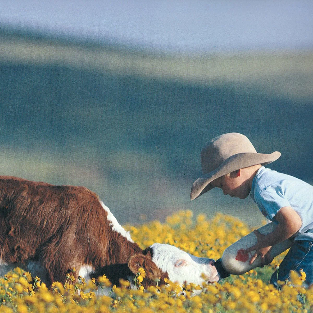 CATTLE — The Pitchfork Ranch