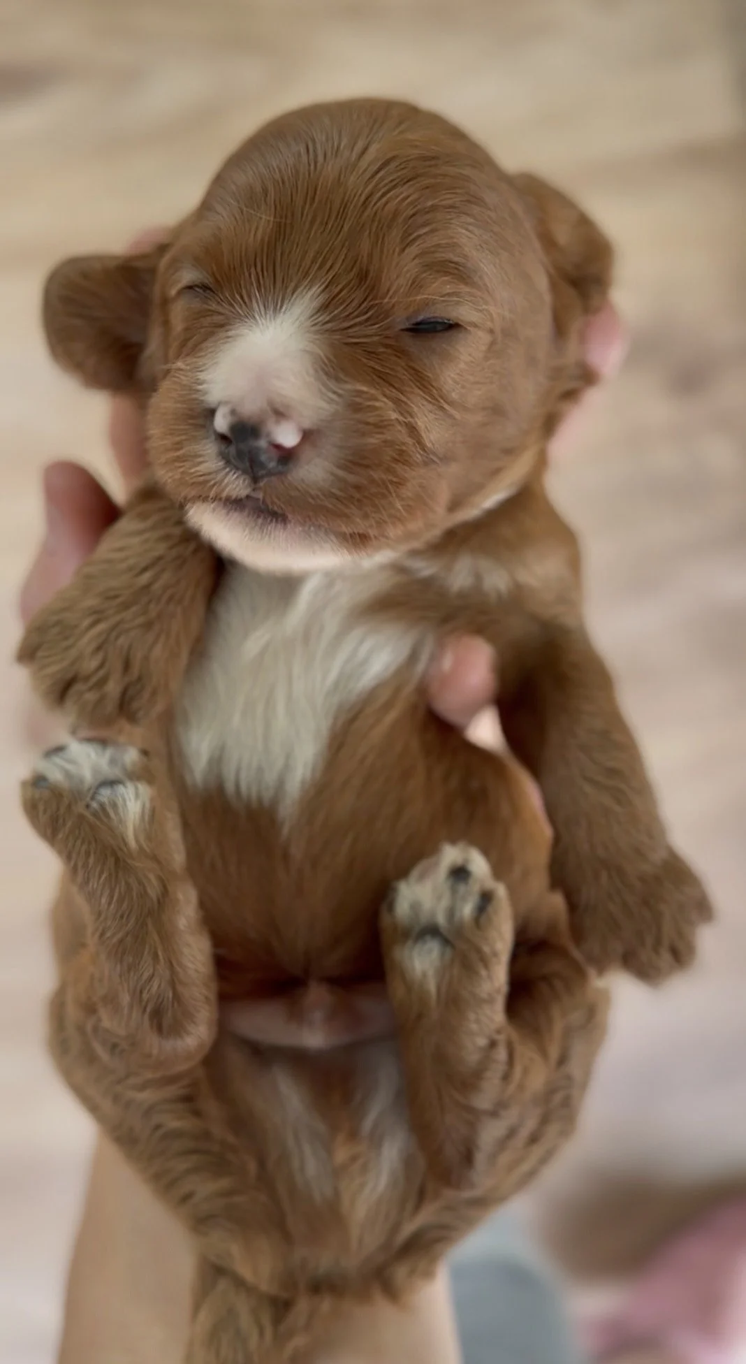 Photo 5-3-2026, 17 47 21.jpg