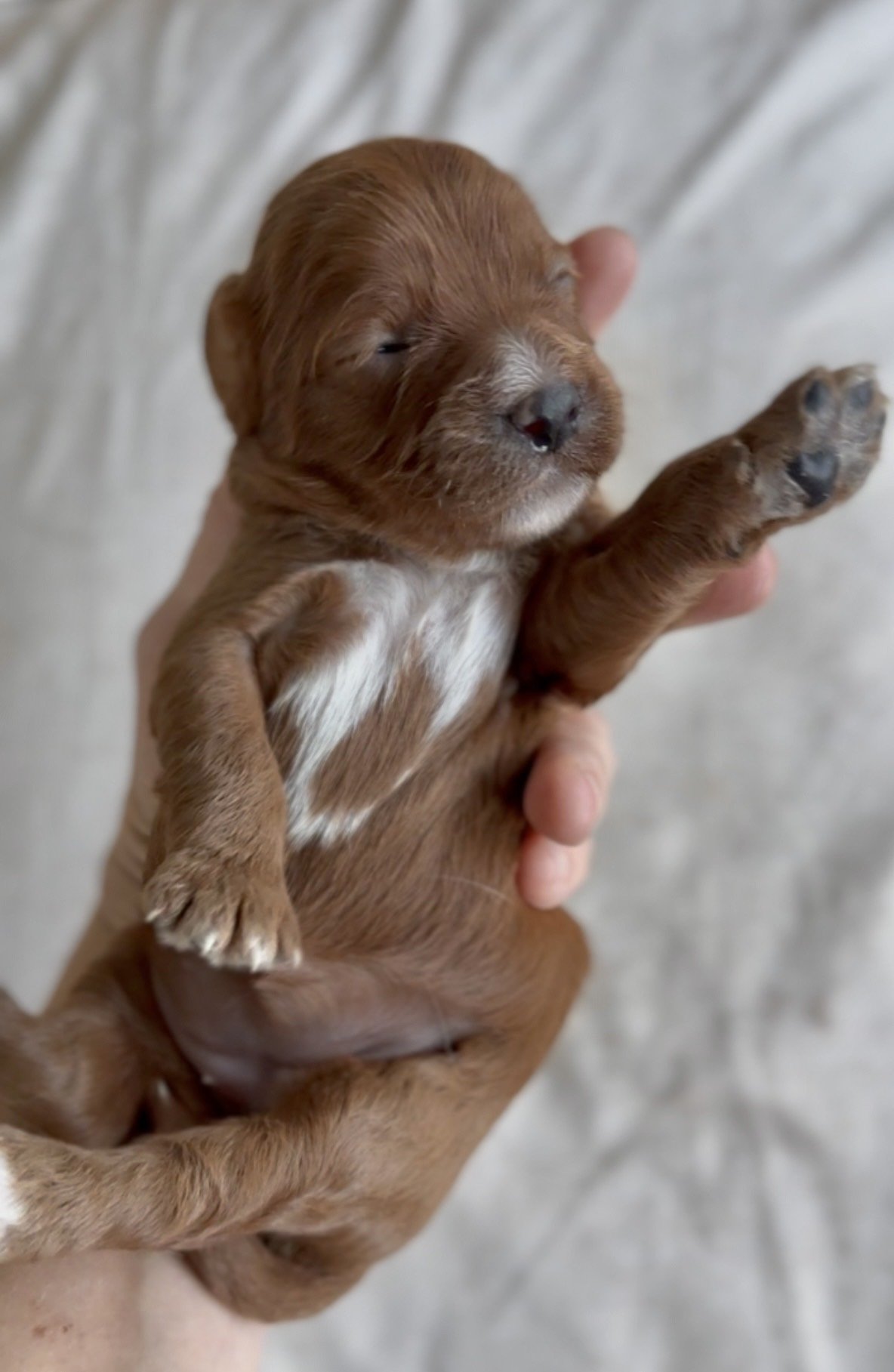 Photo 2-3-2026, 18 04 06.jpg