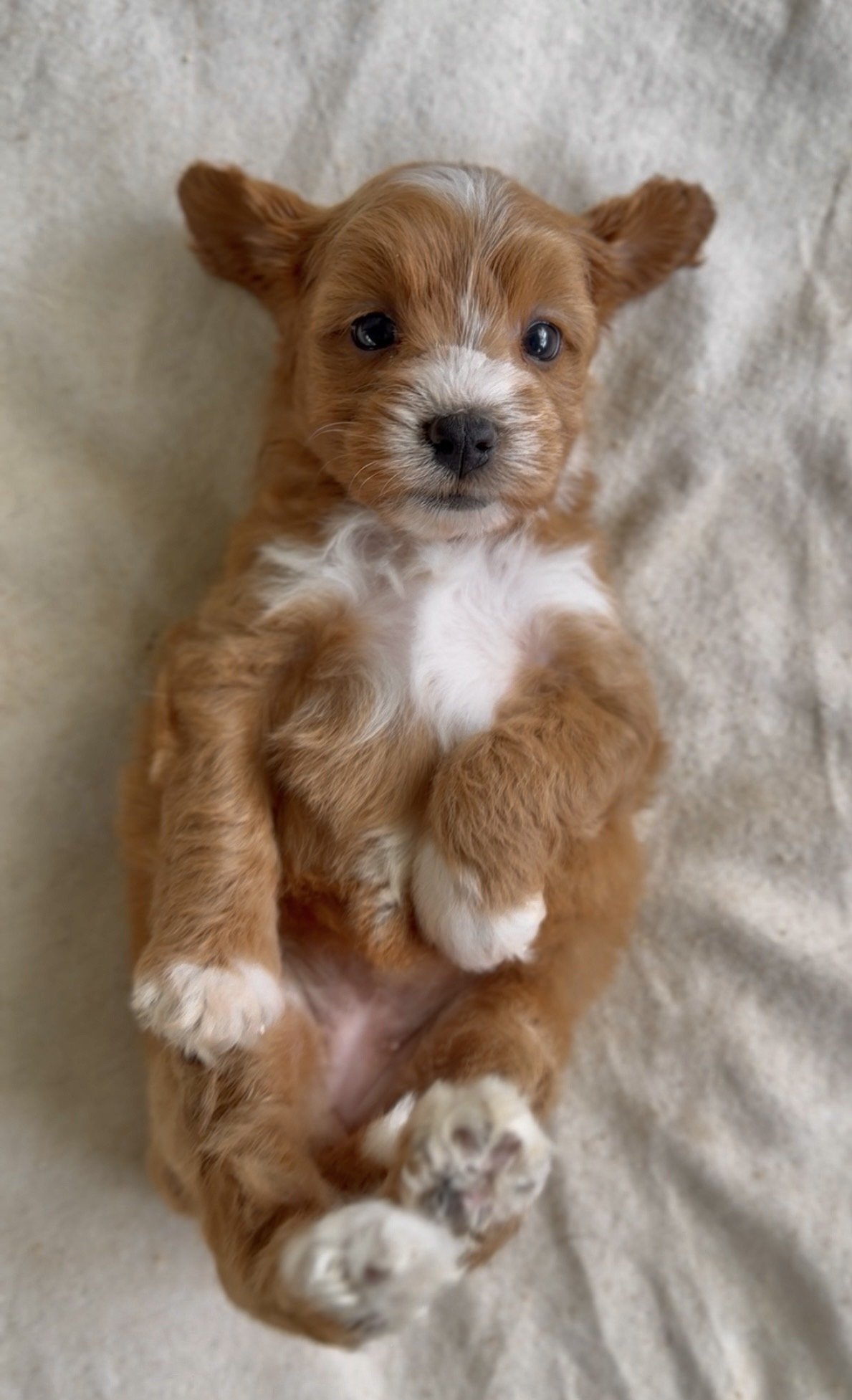 Photo 1-4-2026, 12 23 57.jpg